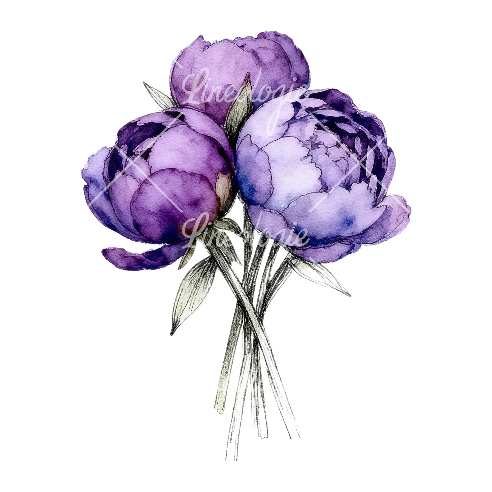 Watercolor light lavender purple peony bouquet clipart 7 of 9 on a white background (JPG)