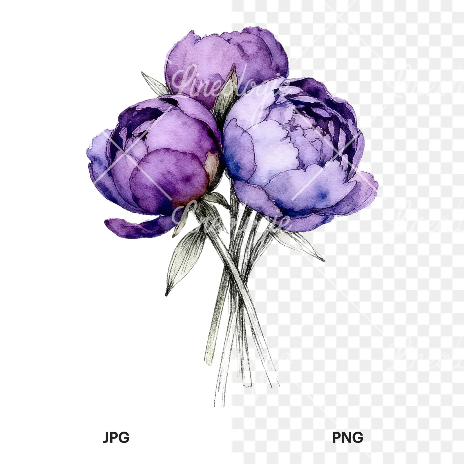 Watercolor light lavender purple peony bouquet clipart 7 of 9, as a JPG on white and a transparent PNG
