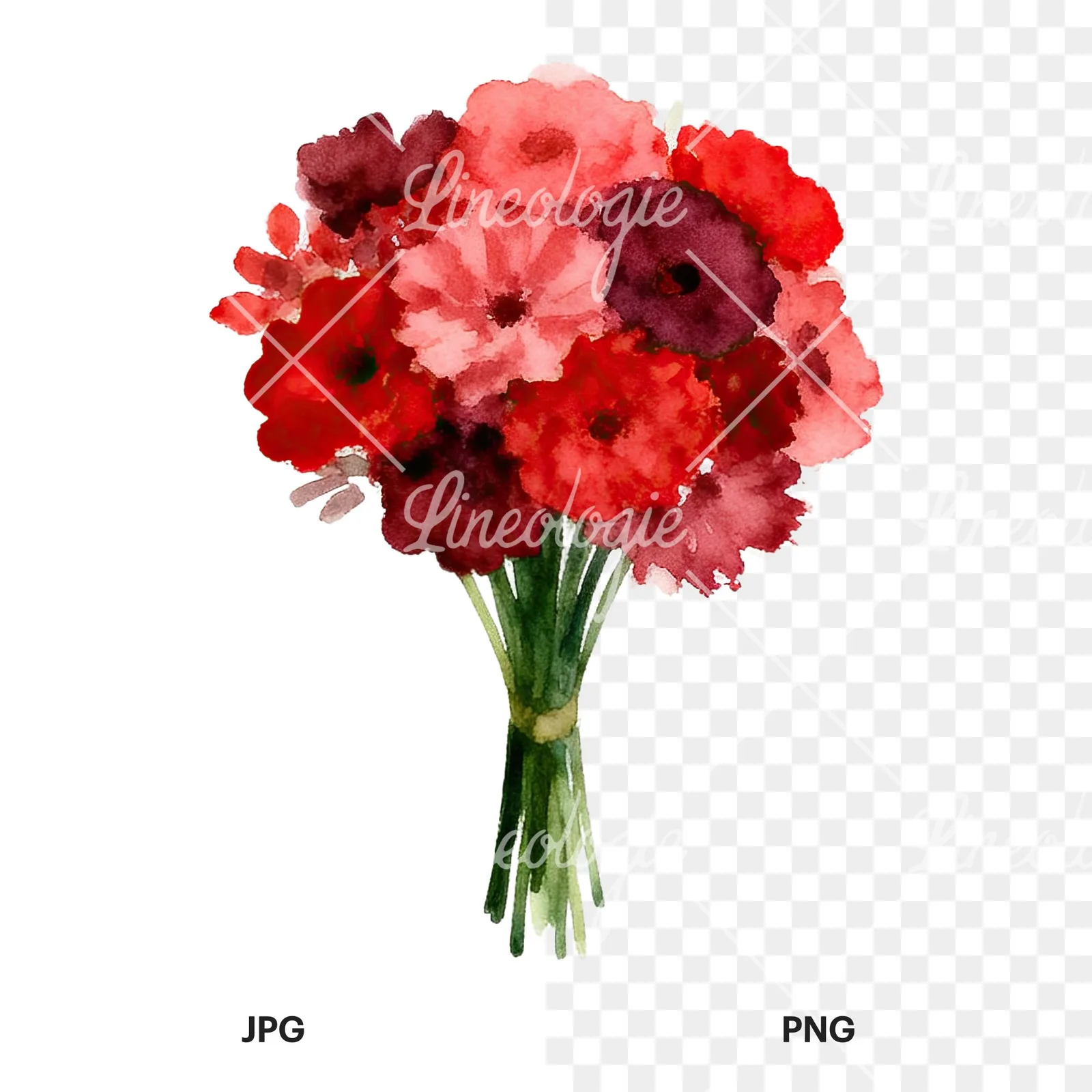Watercolor rounded red and burgundy wedding bouquet clipart 4 of 9, as a JPG on white and a transparent PNG