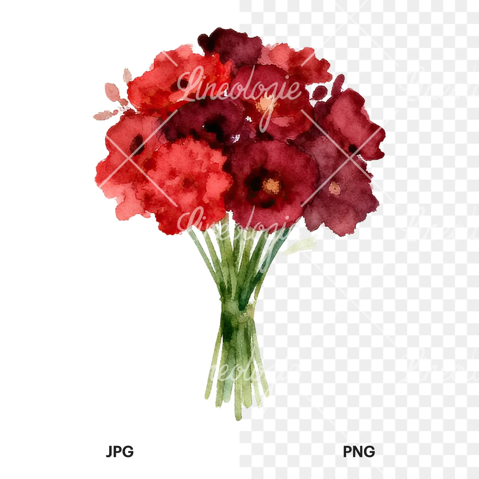 Watercolor rounded red and burgundy wedding bouquet clipart 6 of 9, as a JPG on white and a transparent PNG