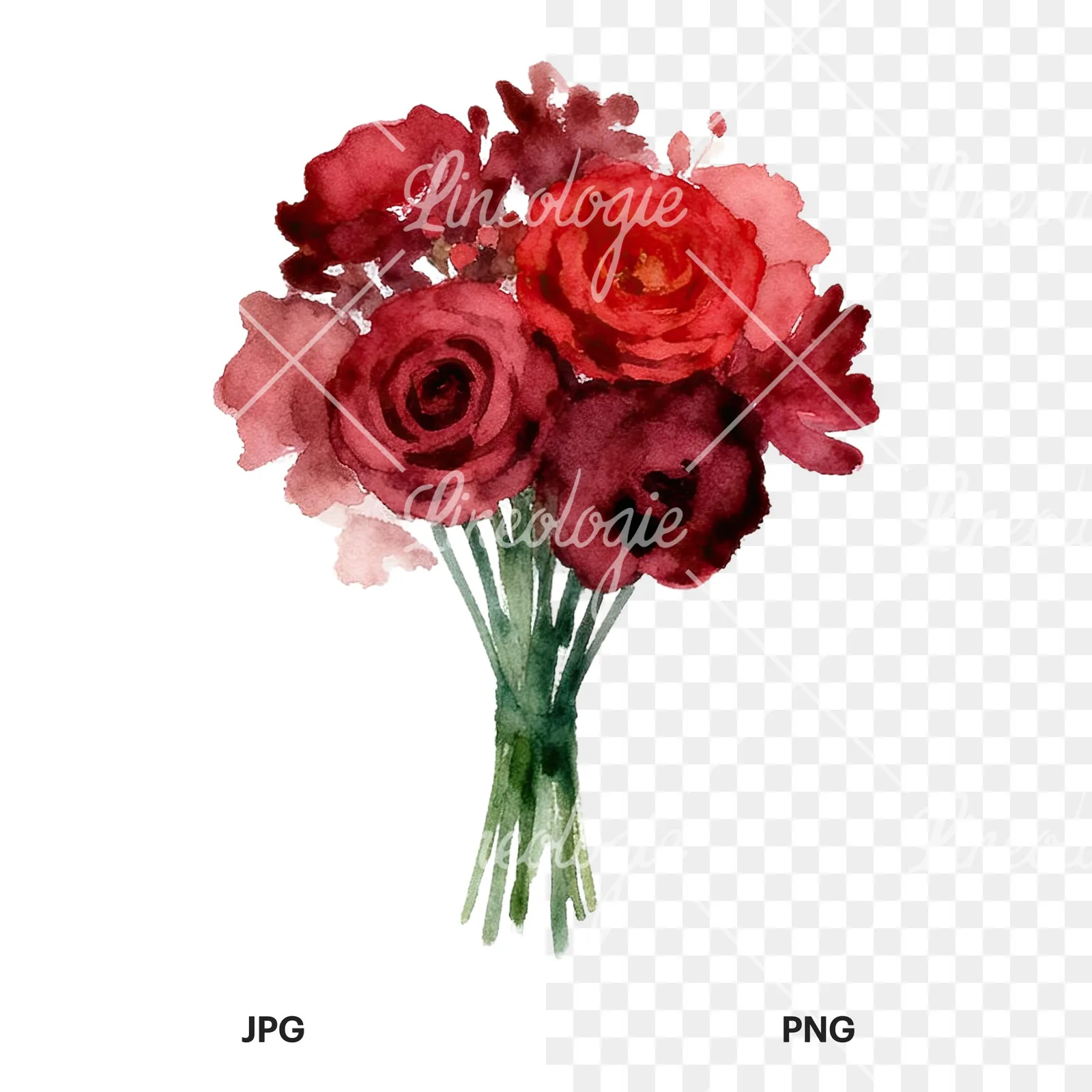 Watercolor rounded red and burgundy wedding bouquet clipart 8 of 9, as a JPG on white and a transparent PNG