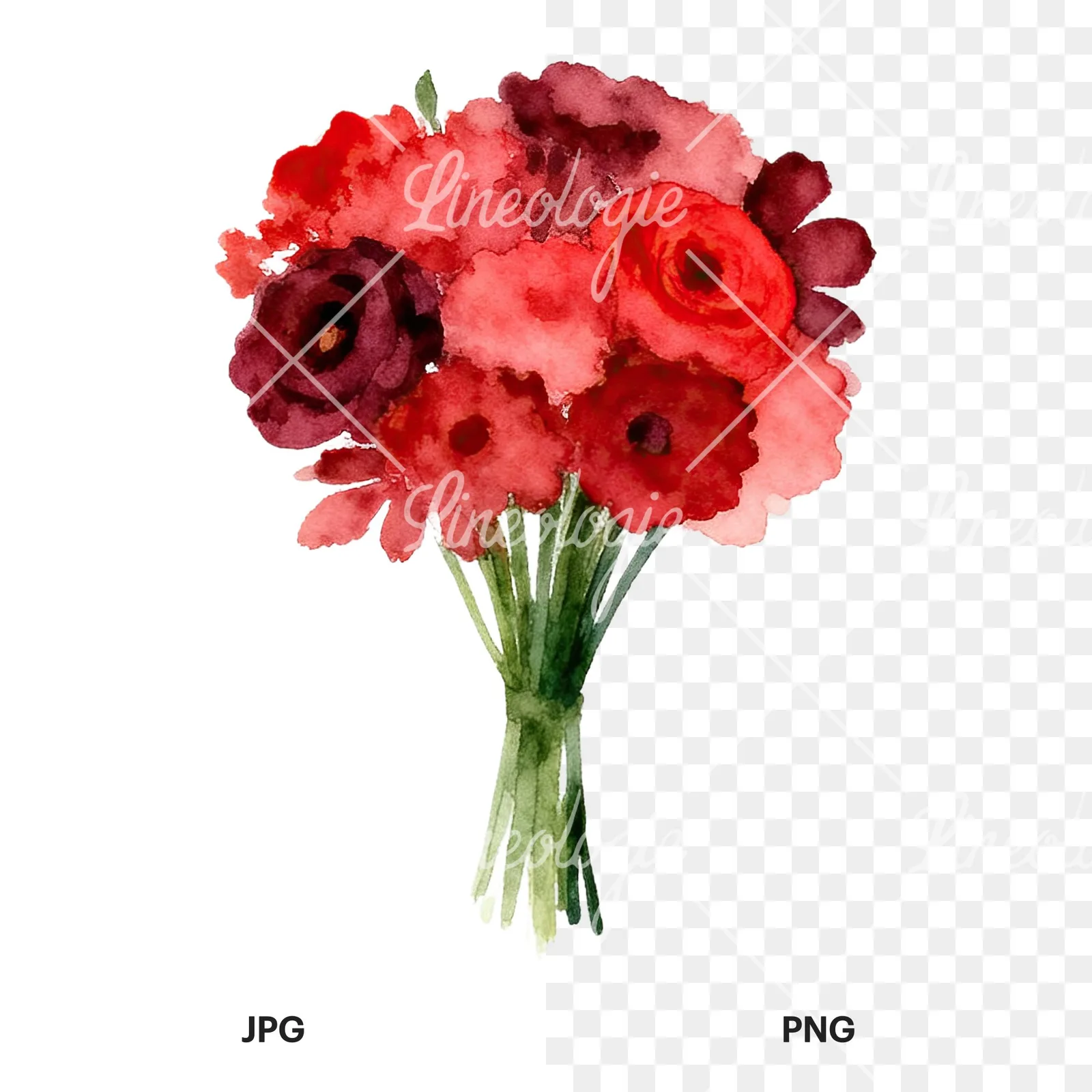 Watercolor rounded red and burgundy wedding bouquet clipart 9 of 9, as a JPG on white and a transparent PNG