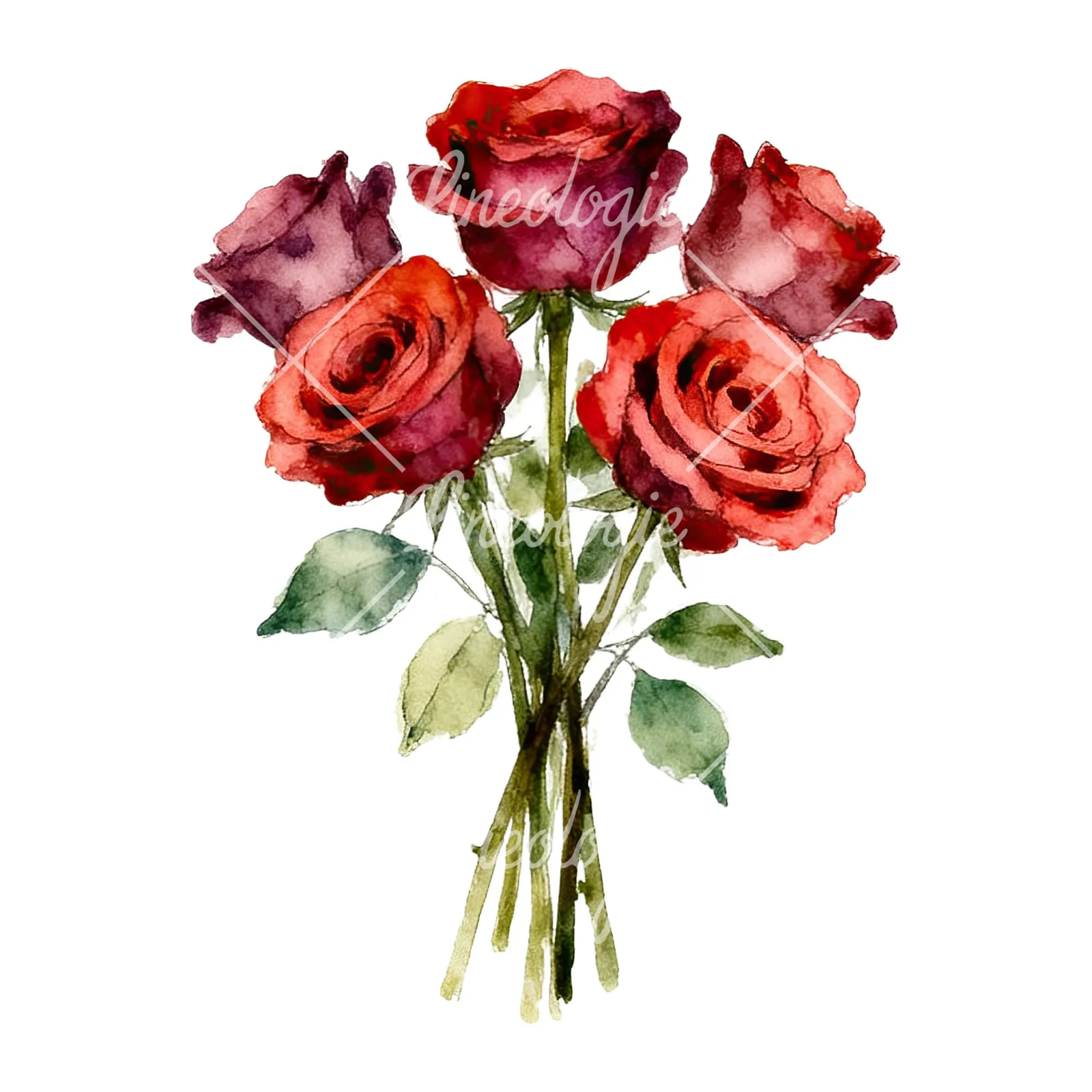 Watercolor rose bouquet with sketch clipart 6 of 9 on a white background (JPG)