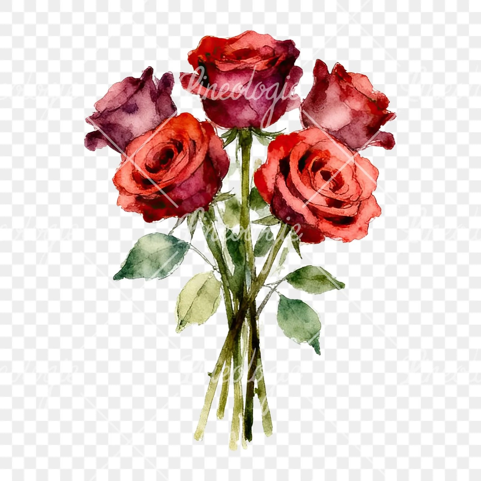 Watercolor rose bouquet with sketch clipart 6 of 9 on a transparent background (PNG)
