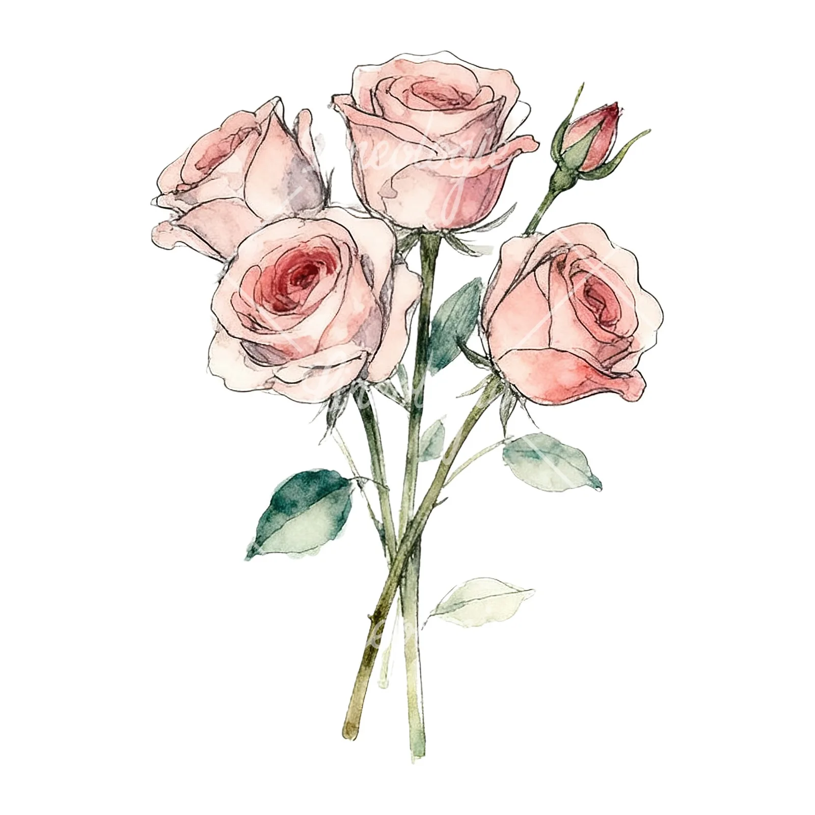 Watercolor rose bouquet with sketch clipart 9 of 9 on a white background (JPG)