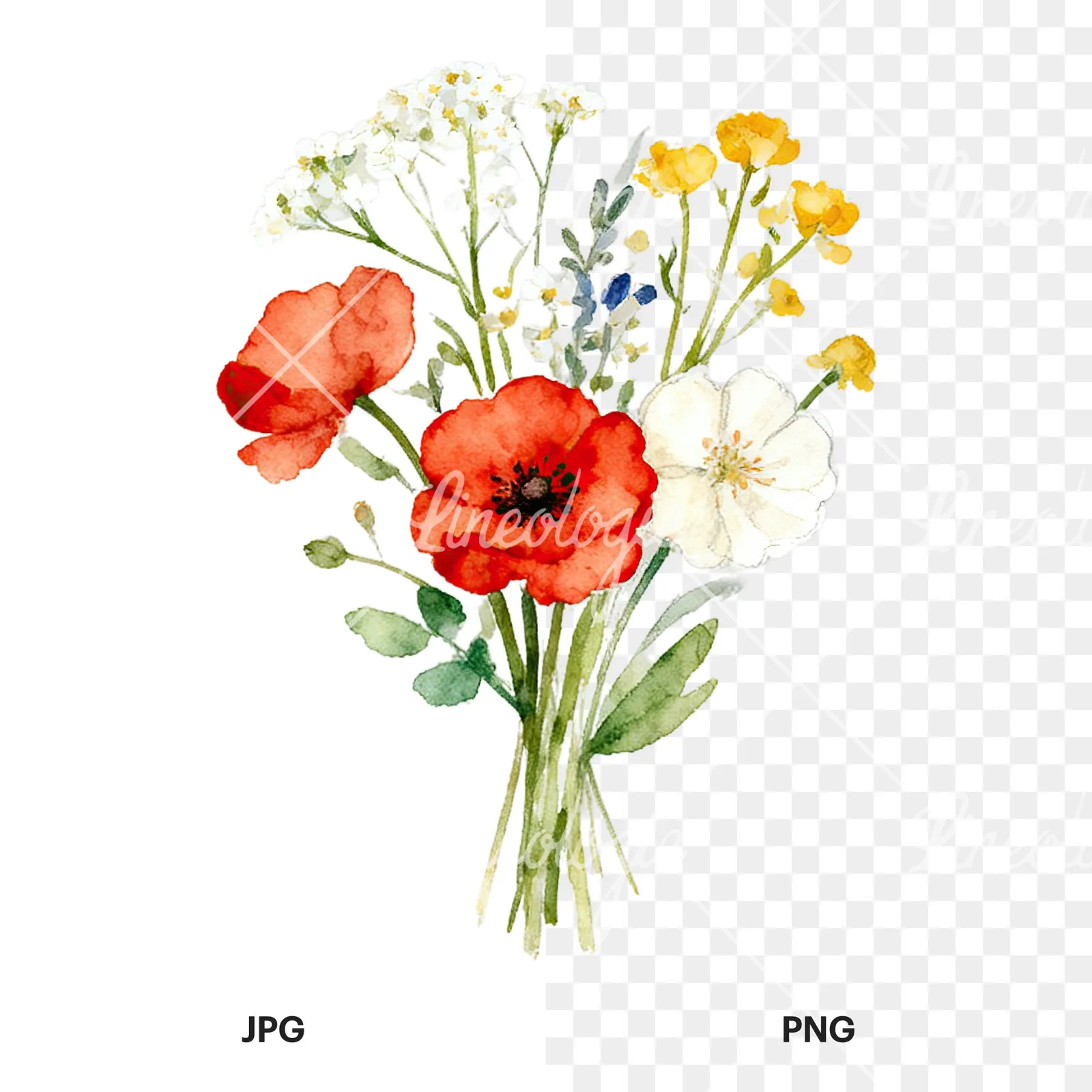 Watercolor summer meadow flower bouquet clipart 3 of 9, as a JPG on white and a transparent PNG
