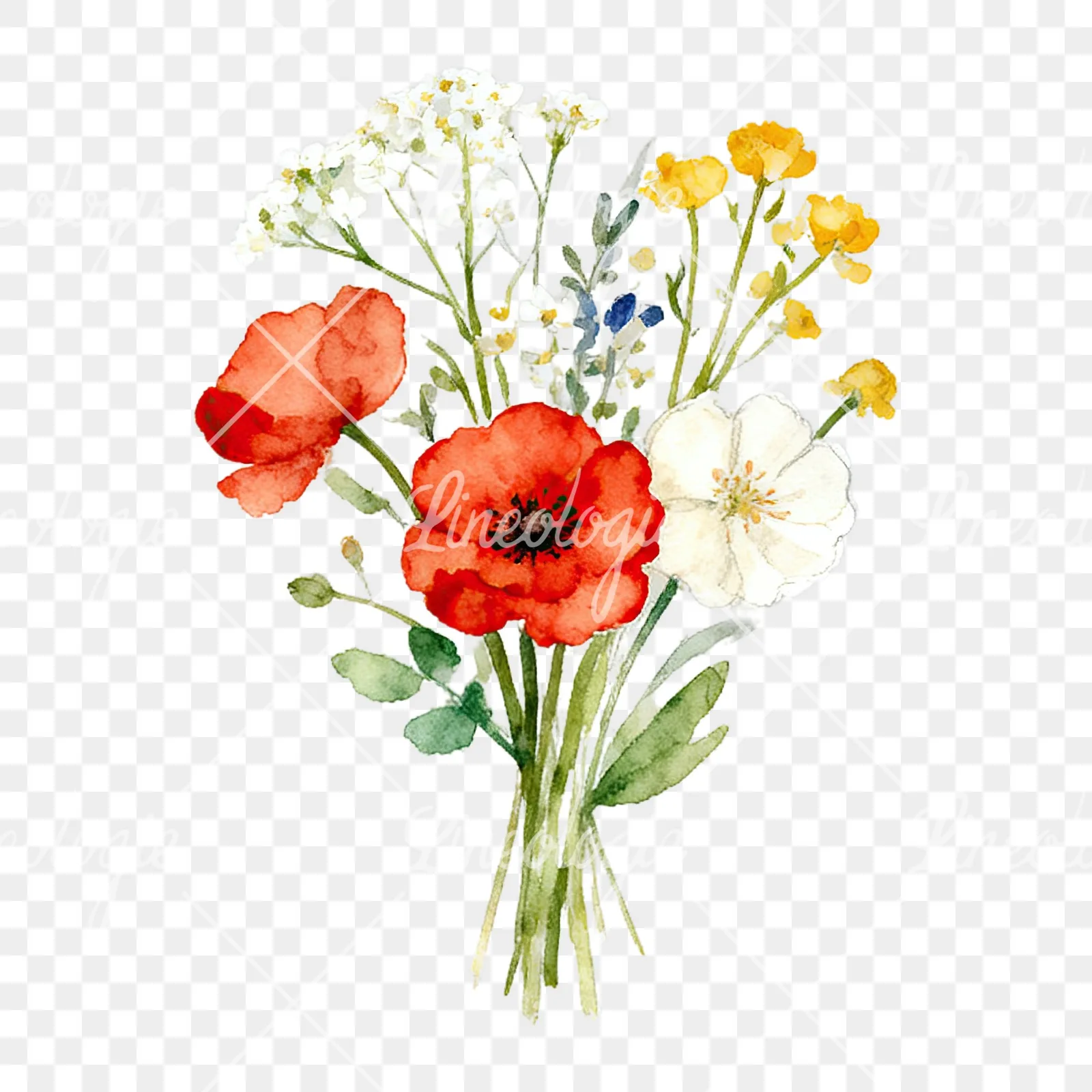 Watercolor summer meadow flower bouquet clipart 3 of 9 on a transparent background (PNG)