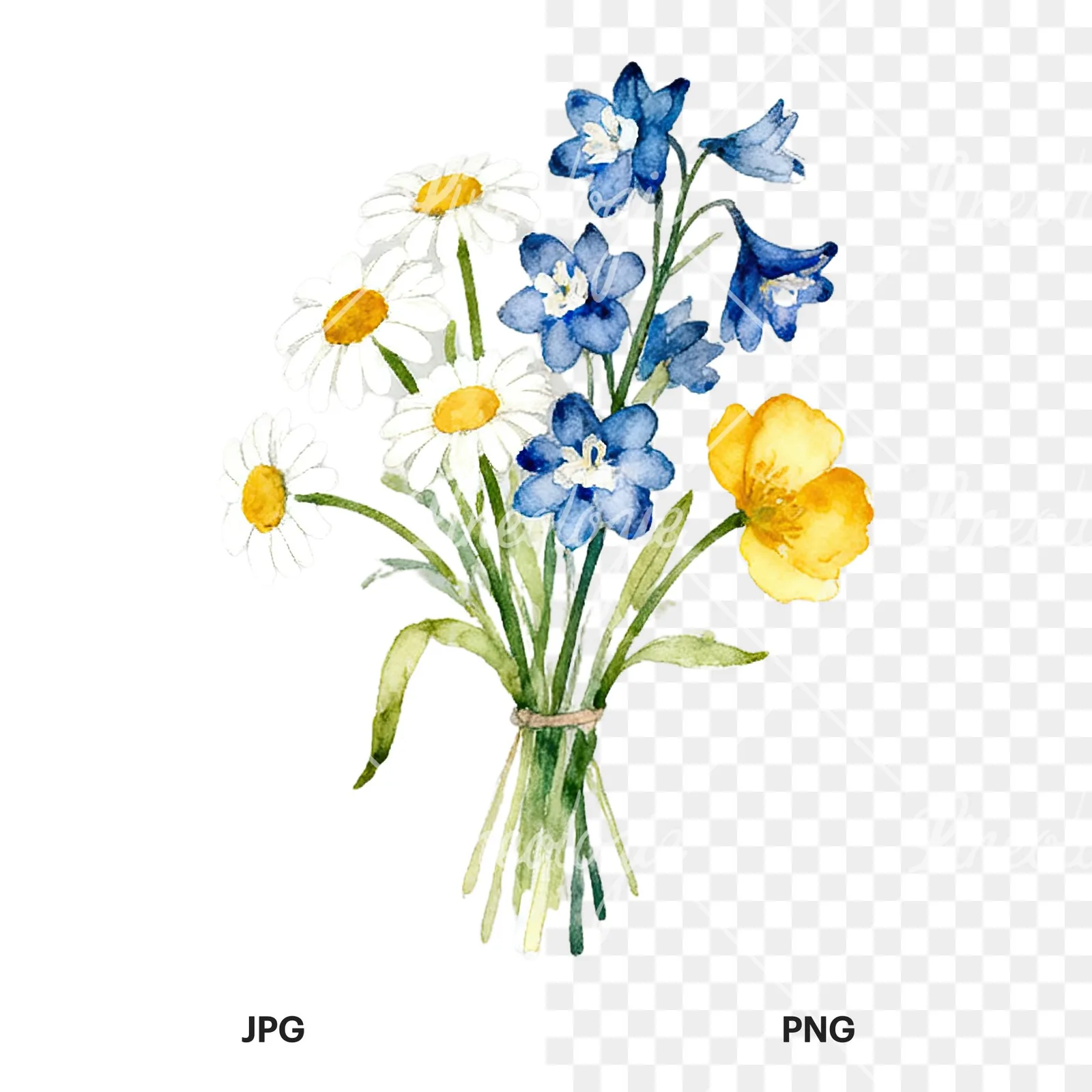 Watercolor summer meadow flower bouquet clipart 6 of 9, as a JPG on white and a transparent PNG