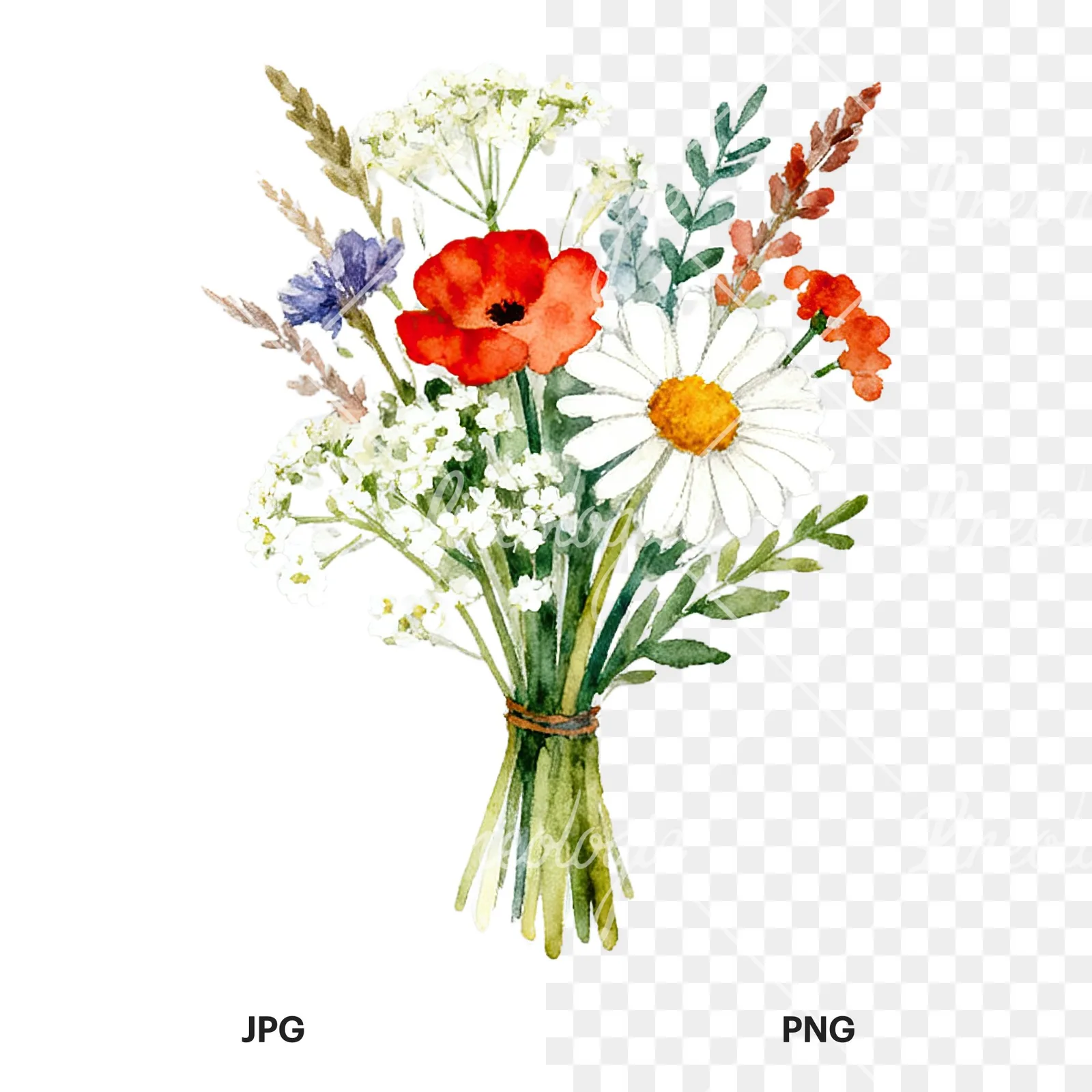 Watercolor summer meadow flower bouquet clipart 7 of 9, as a JPG on white and a transparent PNG