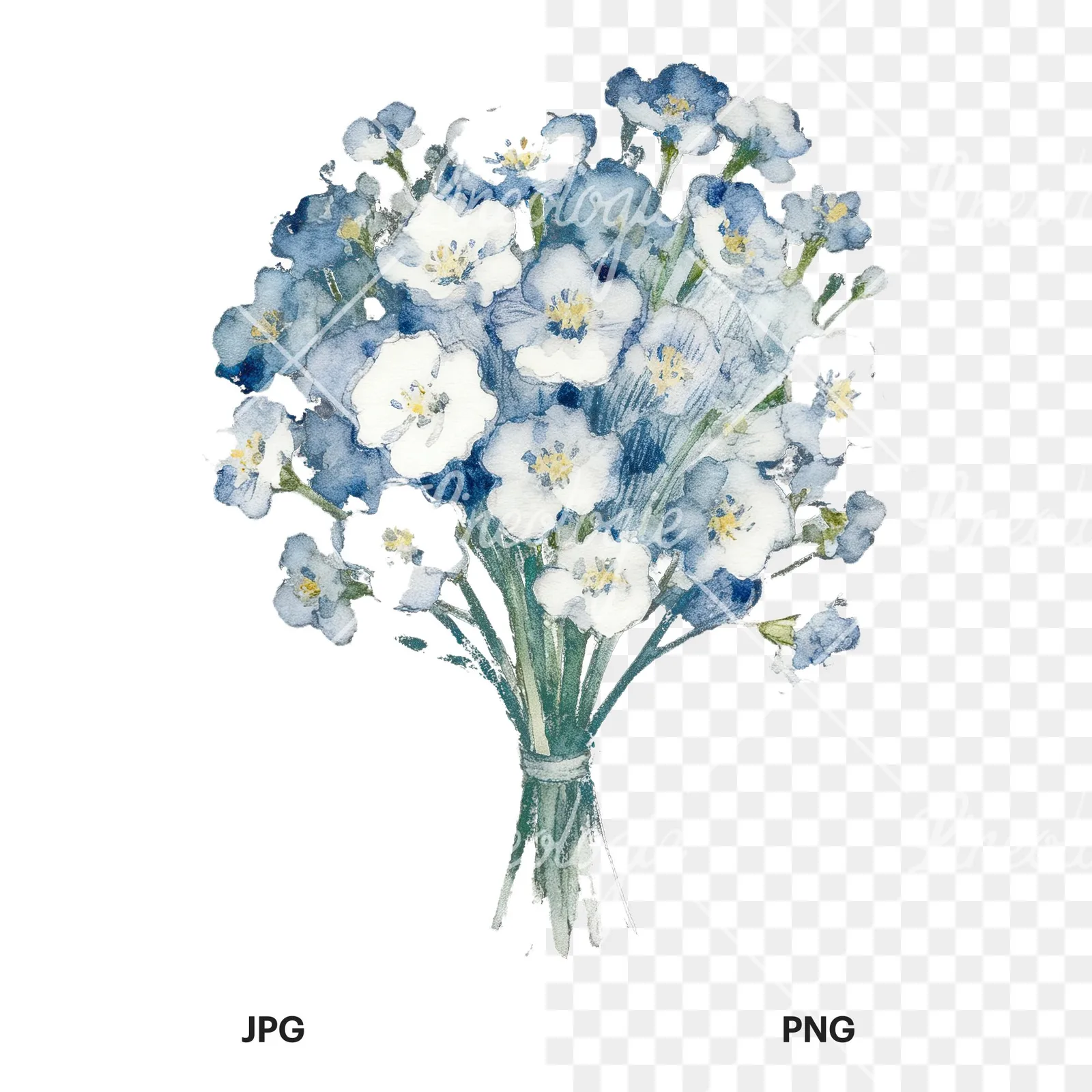 Watercolor babys breath bouquet clipart 5 of 9, as a JPG on white and a transparent PNG