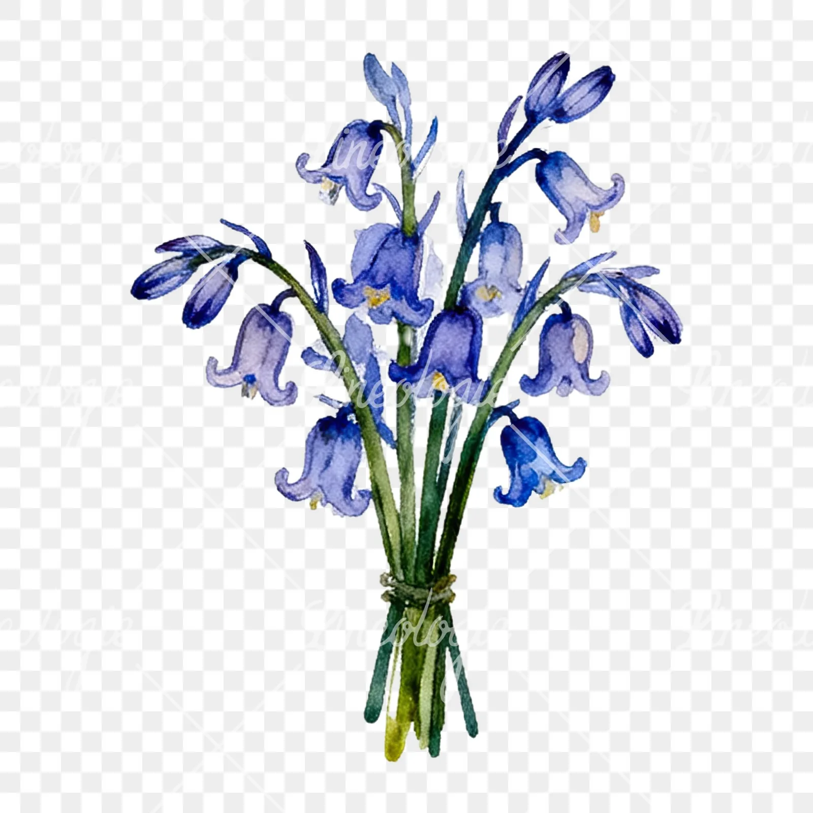 Watercolor bluebell flower bouquet clipart 5 of 9 on a transparent background (PNG)