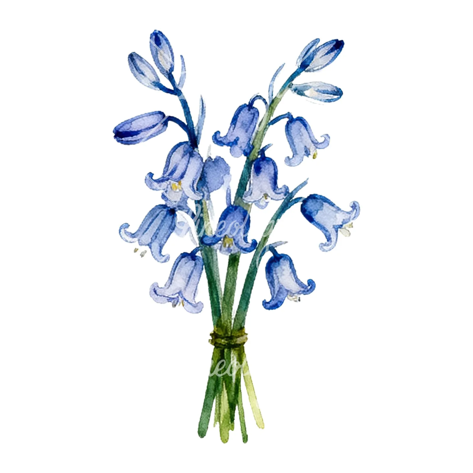 Watercolor bluebell flower bouquet clipart 6 of 9 on a white background (JPG)