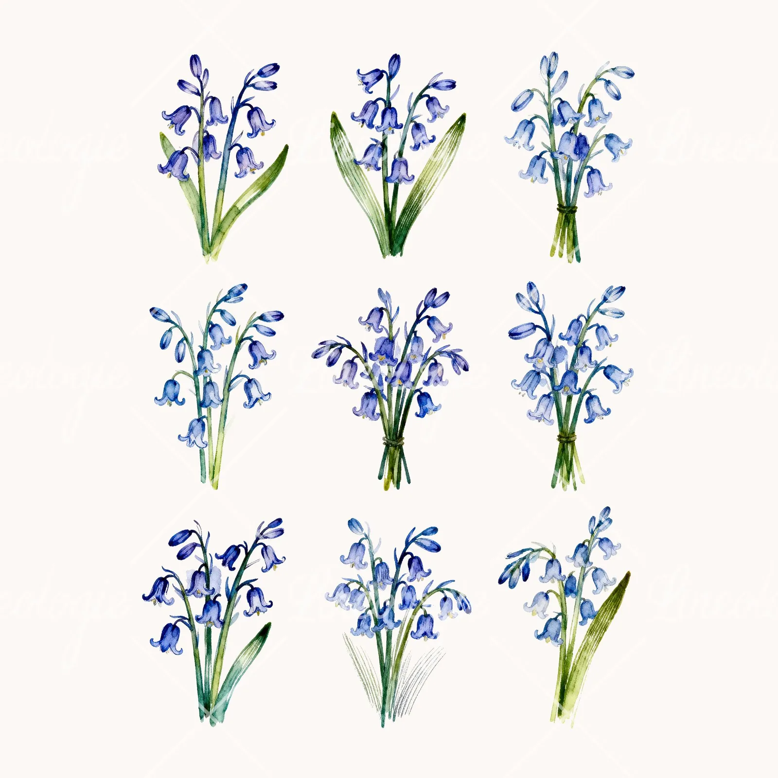 Watercolor Bluebell Flower Bouquet Clipart, all 9 illustrations in the pack