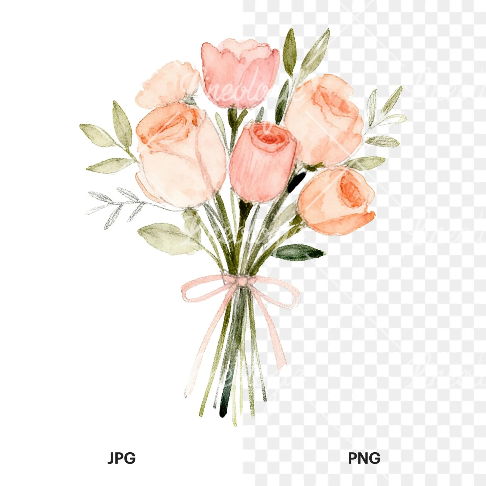 Watercolor blush and peach wedding bouquet clipart 3 of 9, as a JPG on white and a transparent PNG
