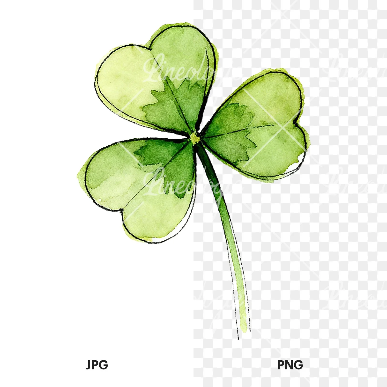 Watercolor saturated clover flower clipart 1 of 9, as a JPG on white and a transparent PNG