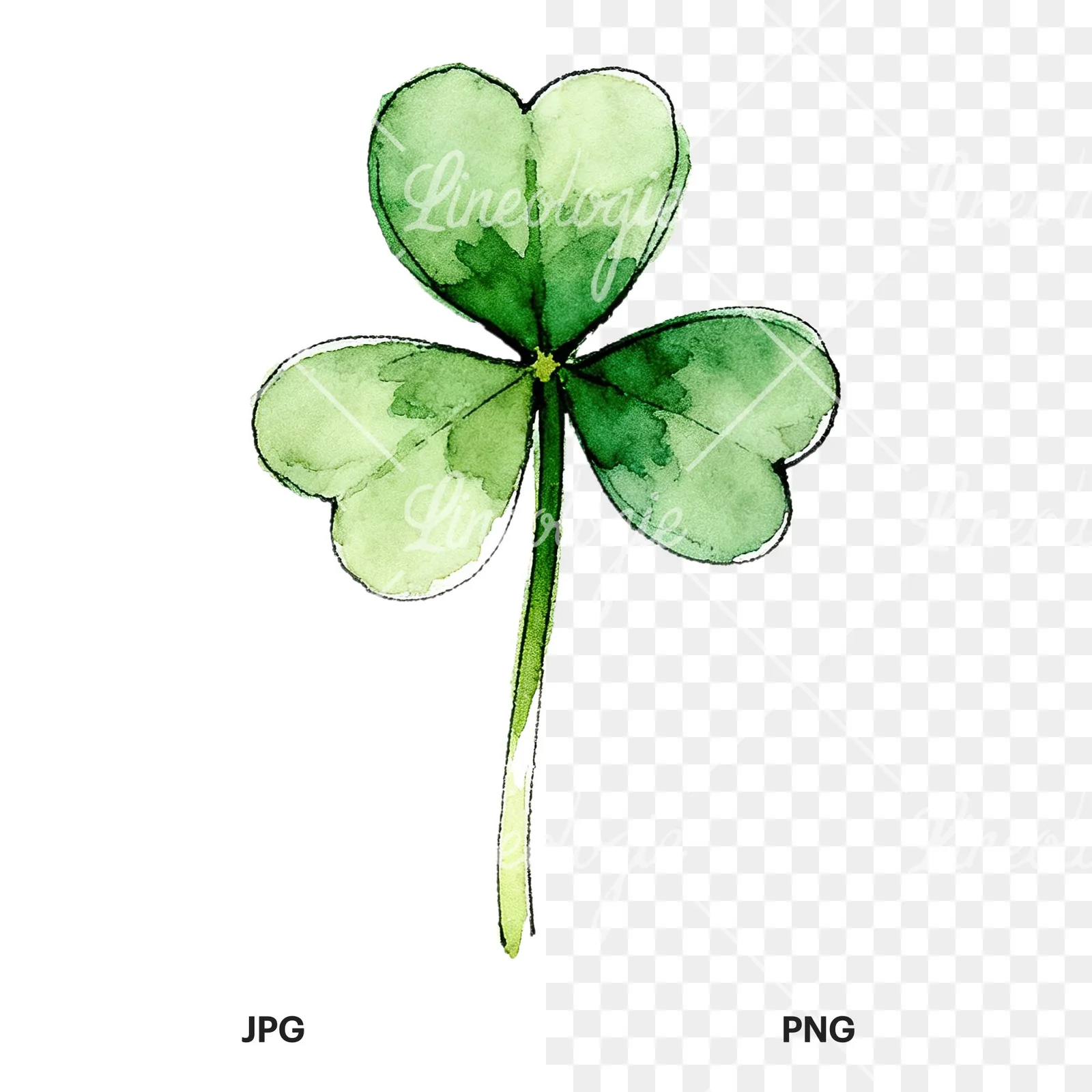 Watercolor saturated clover flower clipart 3 of 9, as a JPG on white and a transparent PNG