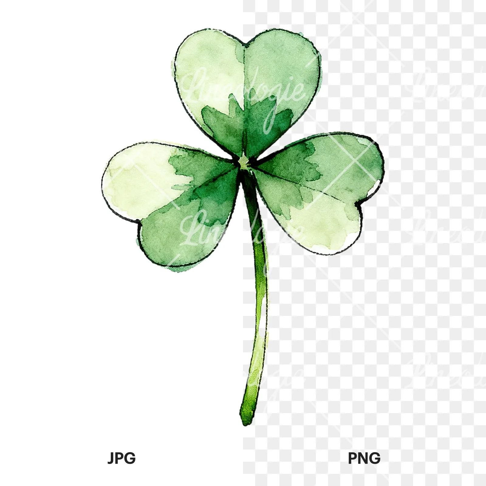 Watercolor saturated clover flower clipart 5 of 9, as a JPG on white and a transparent PNG