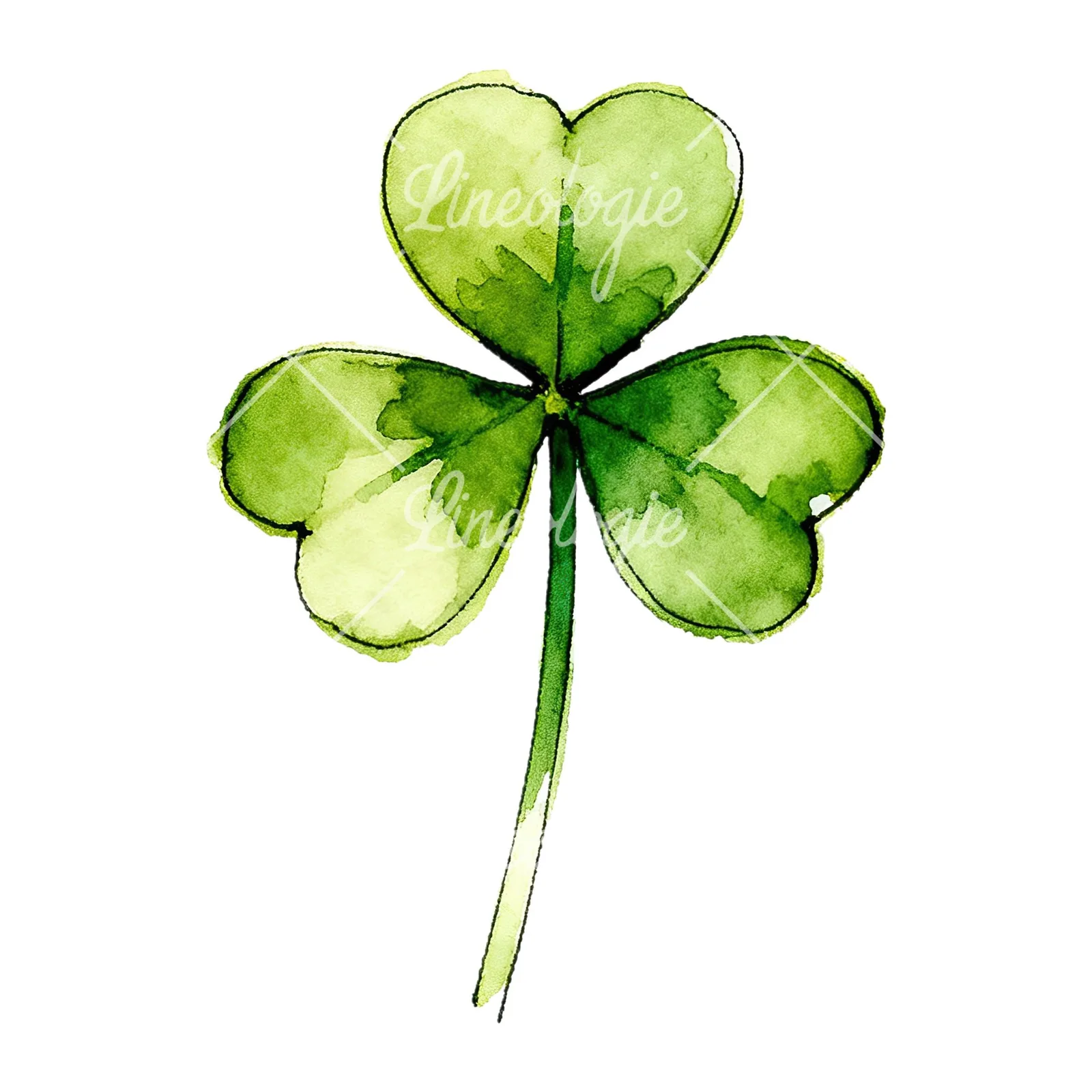 Watercolor saturated clover flower clipart 6 of 9 on a white background (JPG)