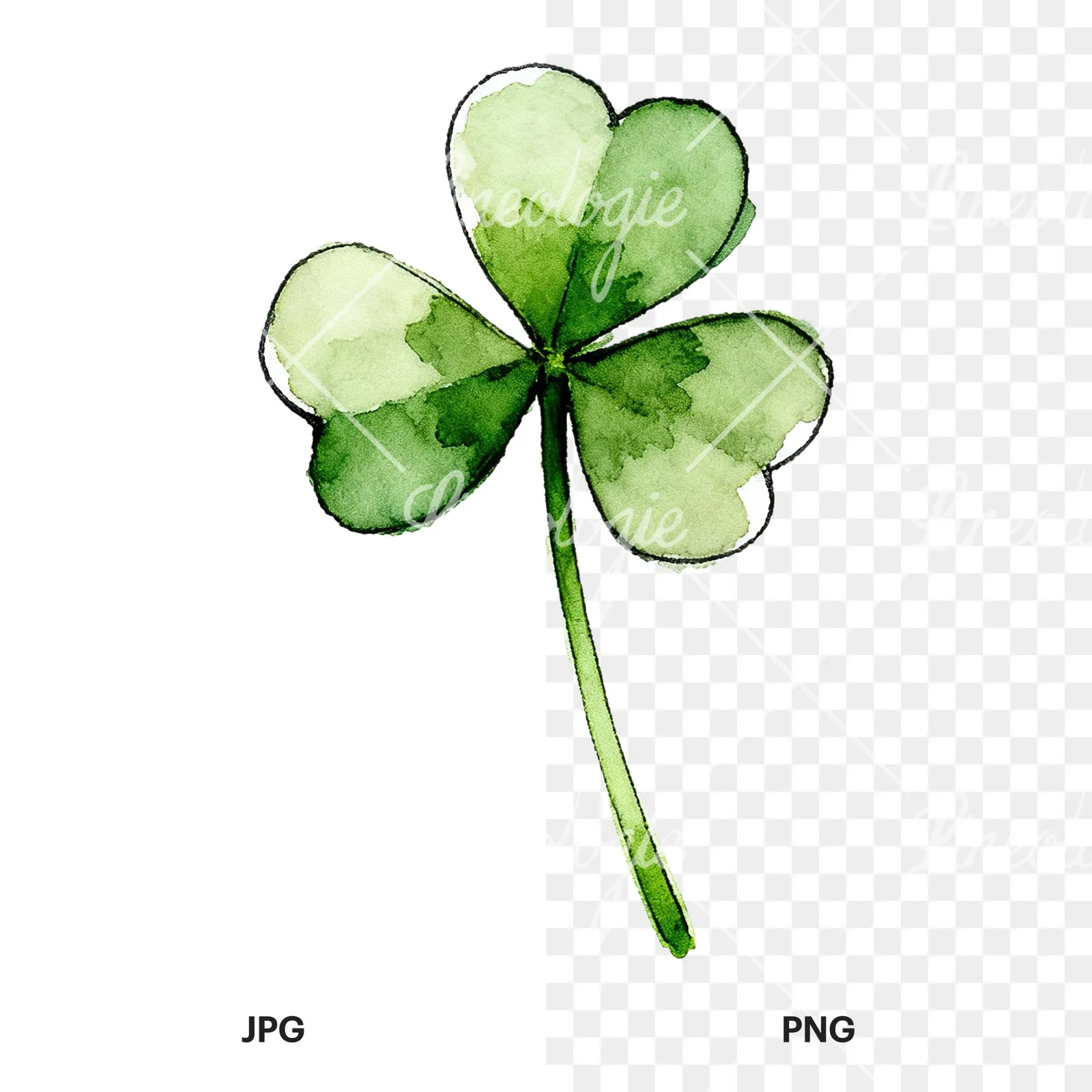 Watercolor saturated clover flower clipart 8 of 9, as a JPG on white and a transparent PNG