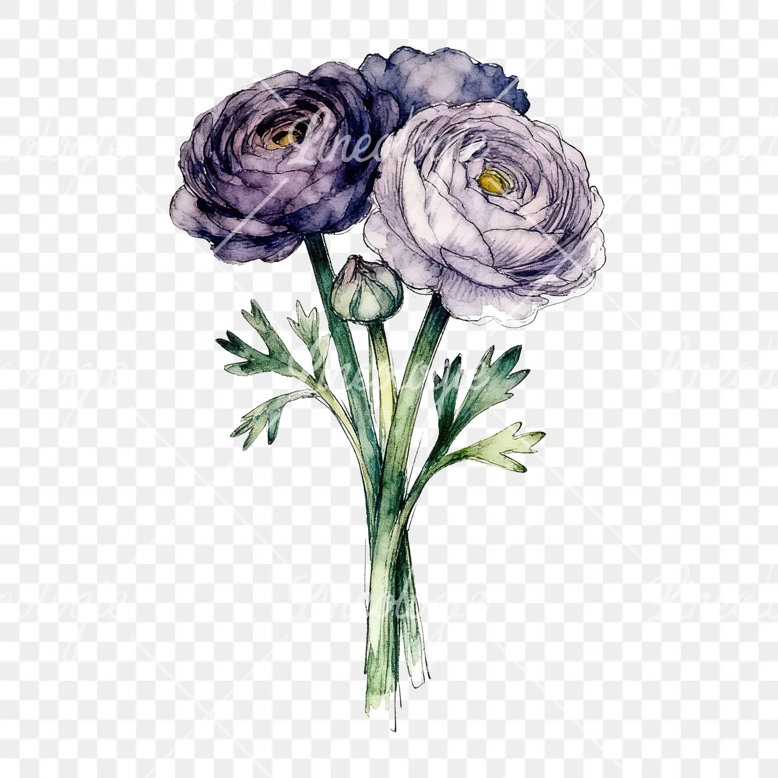 Watercolor ranunculus bouquet with purple clipart 7 of 9 on a transparent background (PNG)