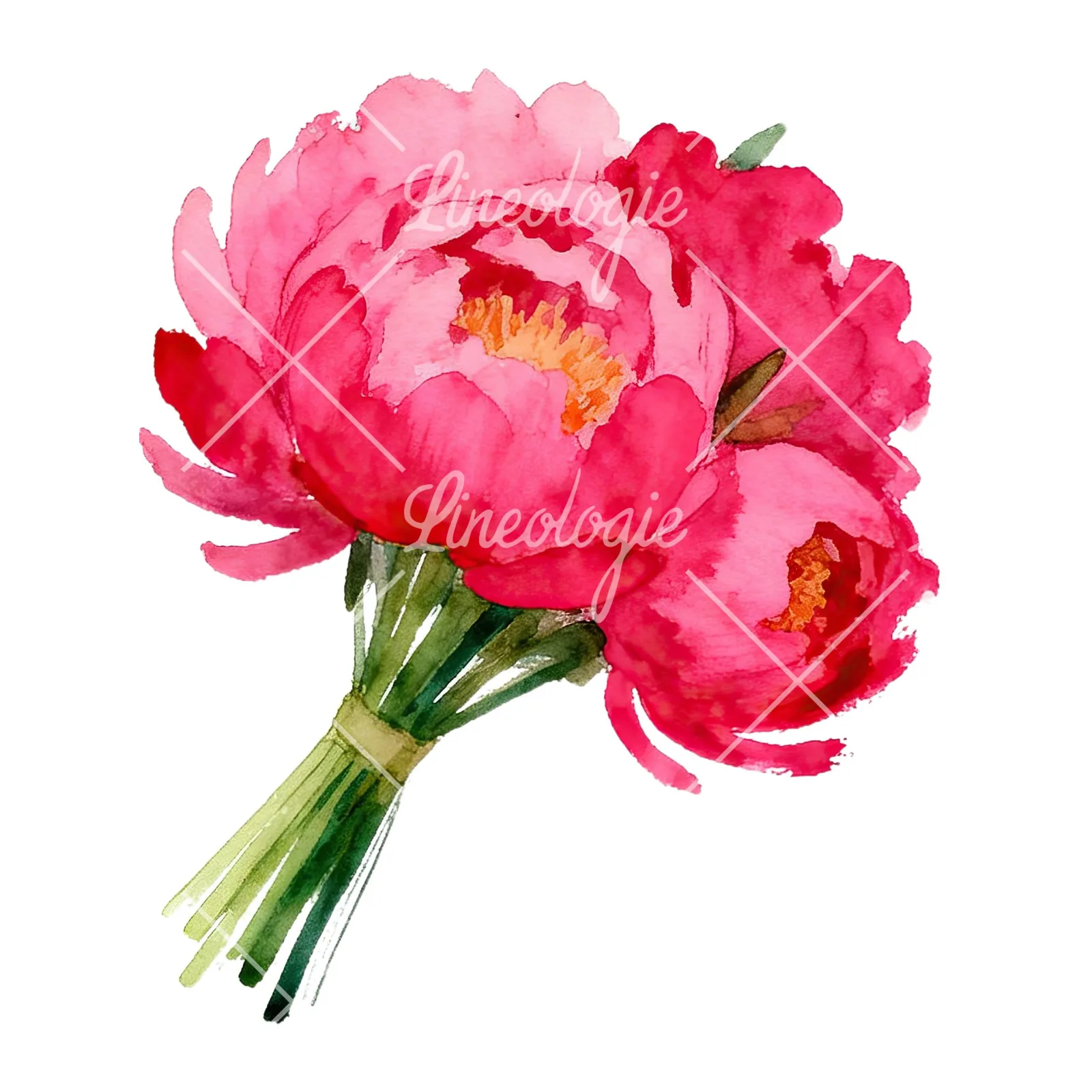 Watercolor hot pink and orange wedding bouquet tightly clustered clipart 1 of 9 on a white background (JPG)