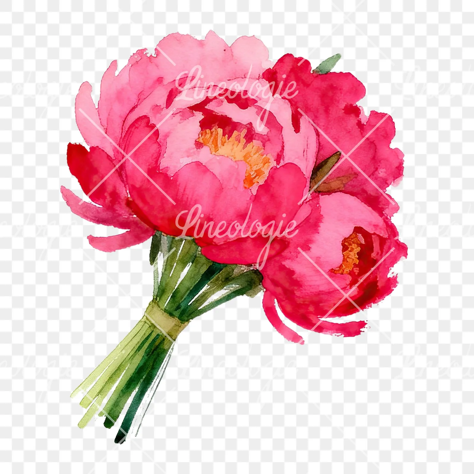 Watercolor hot pink and orange wedding bouquet tightly clustered clipart 1 of 9 on a transparent background (PNG)