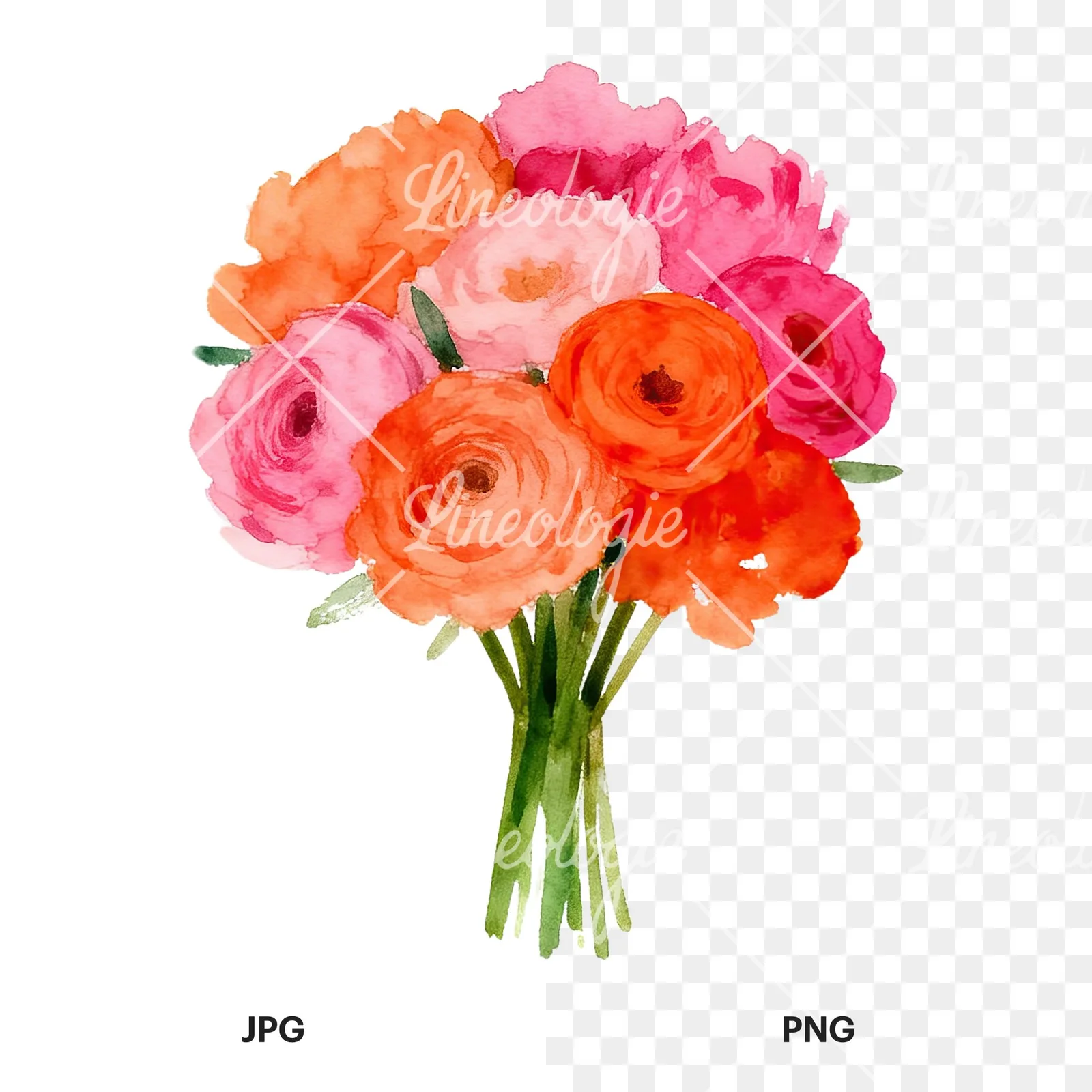 Watercolor hot pink and orange wedding bouquet tightly clustered clipart 2 of 9, as a JPG on white and a transparent PNG