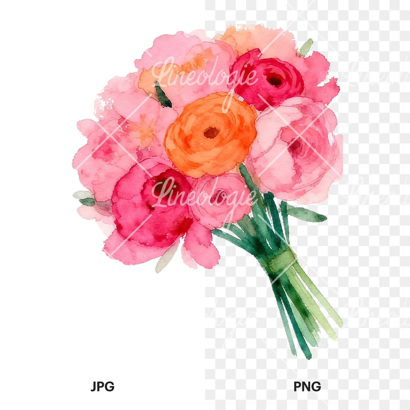 Watercolor hot pink and orange wedding bouquet tightly clustered clipart 3 of 9, as a JPG on white and a transparent PNG