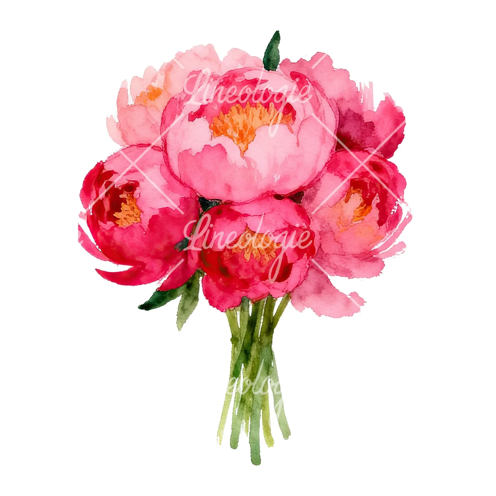 Watercolor hot pink and orange wedding bouquet tightly clustered clipart 4 of 9 on a white background (JPG)