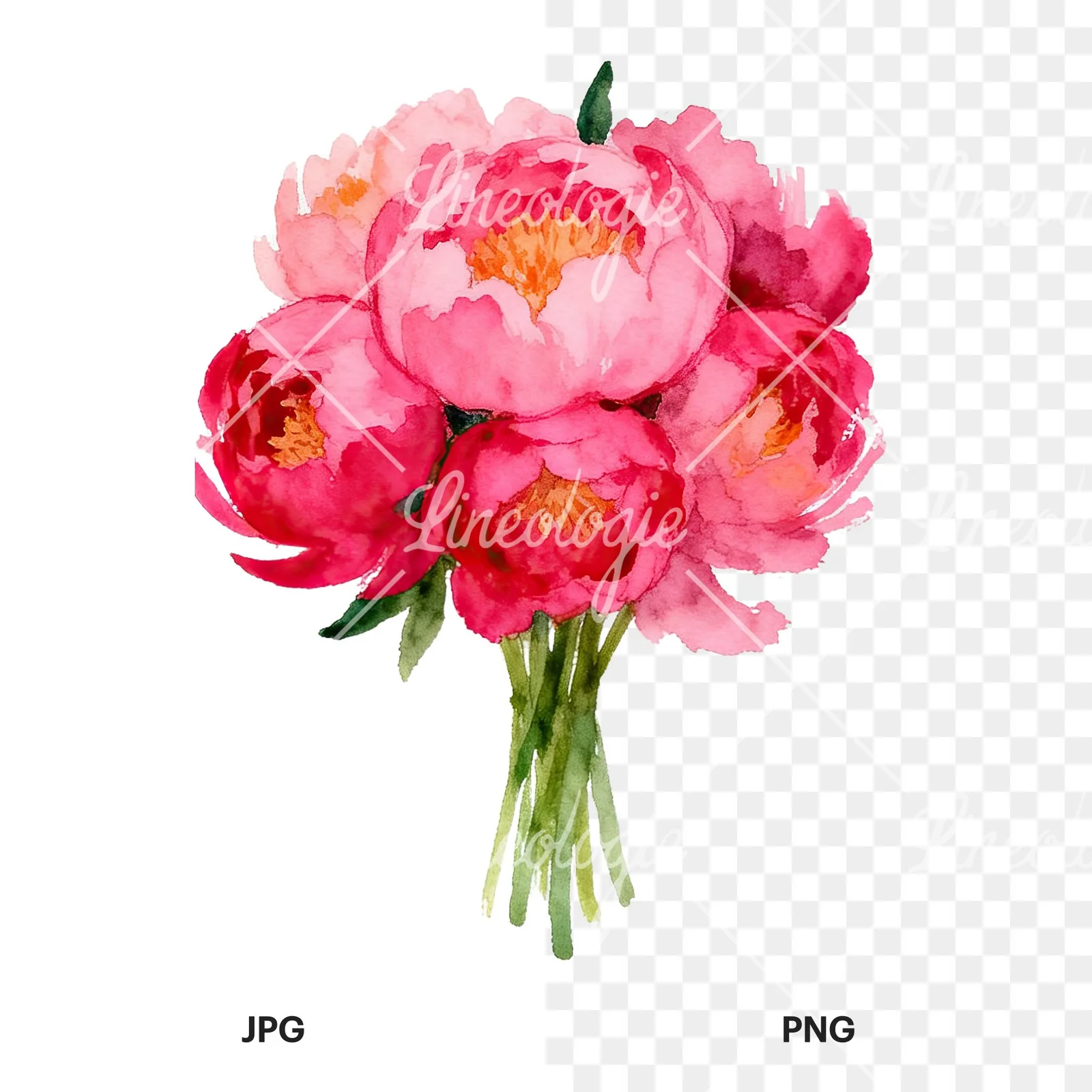 Watercolor hot pink and orange wedding bouquet tightly clustered clipart 4 of 9, as a JPG on white and a transparent PNG
