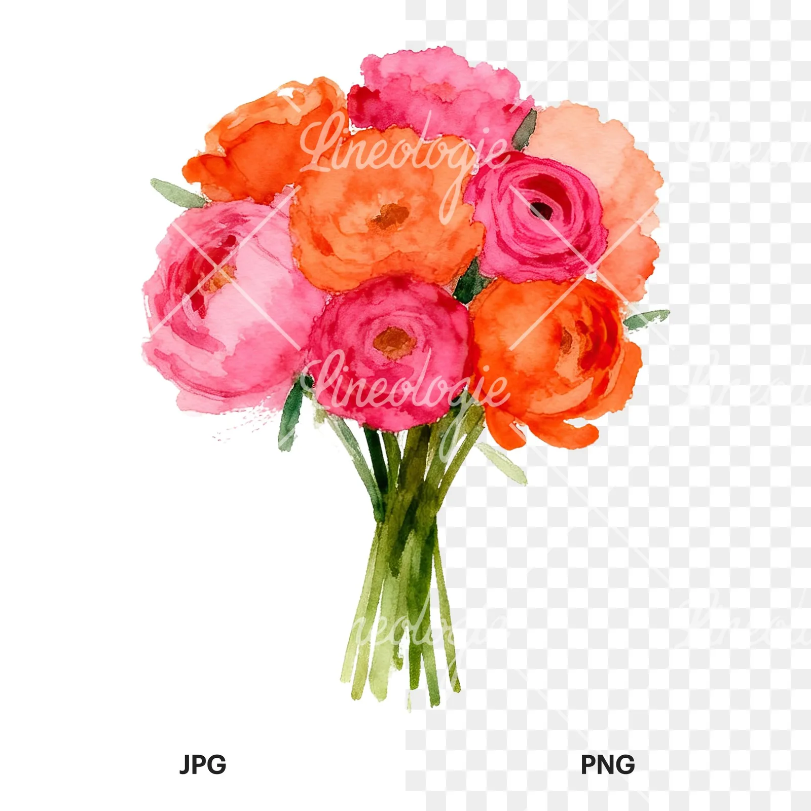 Watercolor hot pink and orange wedding bouquet tightly clustered clipart 5 of 9, as a JPG on white and a transparent PNG
