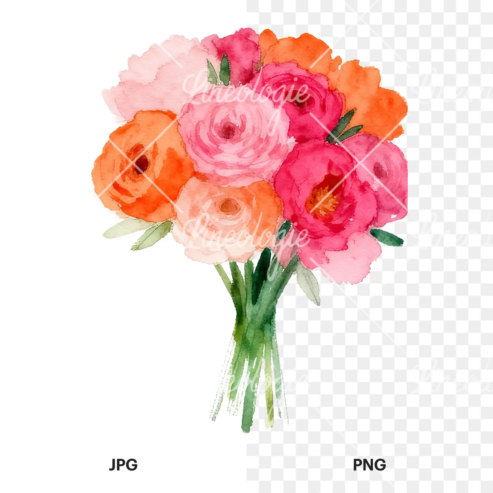 Watercolor hot pink and orange wedding bouquet tightly clustered clipart 6 of 9, as a JPG on white and a transparent PNG