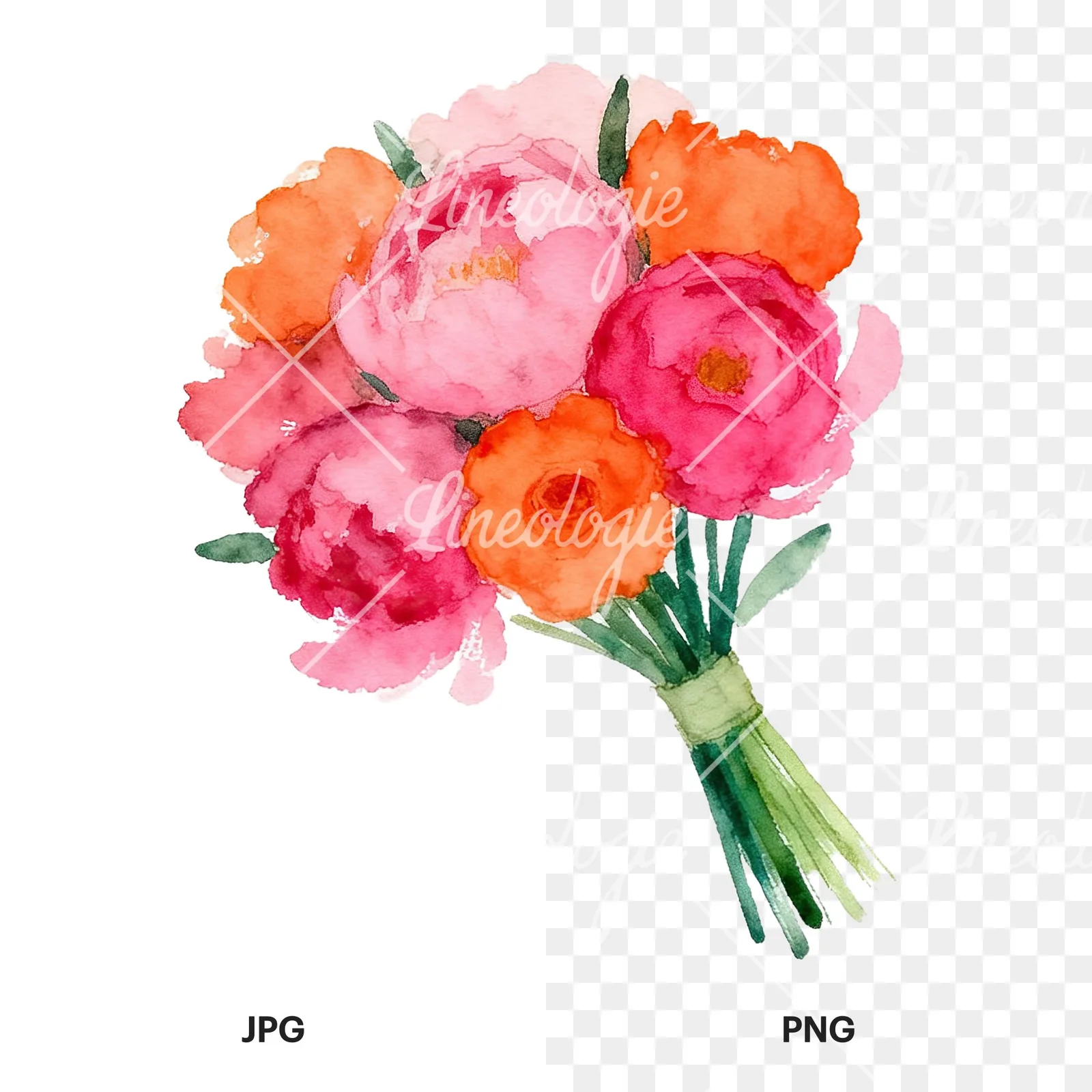 Watercolor hot pink and orange wedding bouquet tightly clustered clipart 7 of 9, as a JPG on white and a transparent PNG
