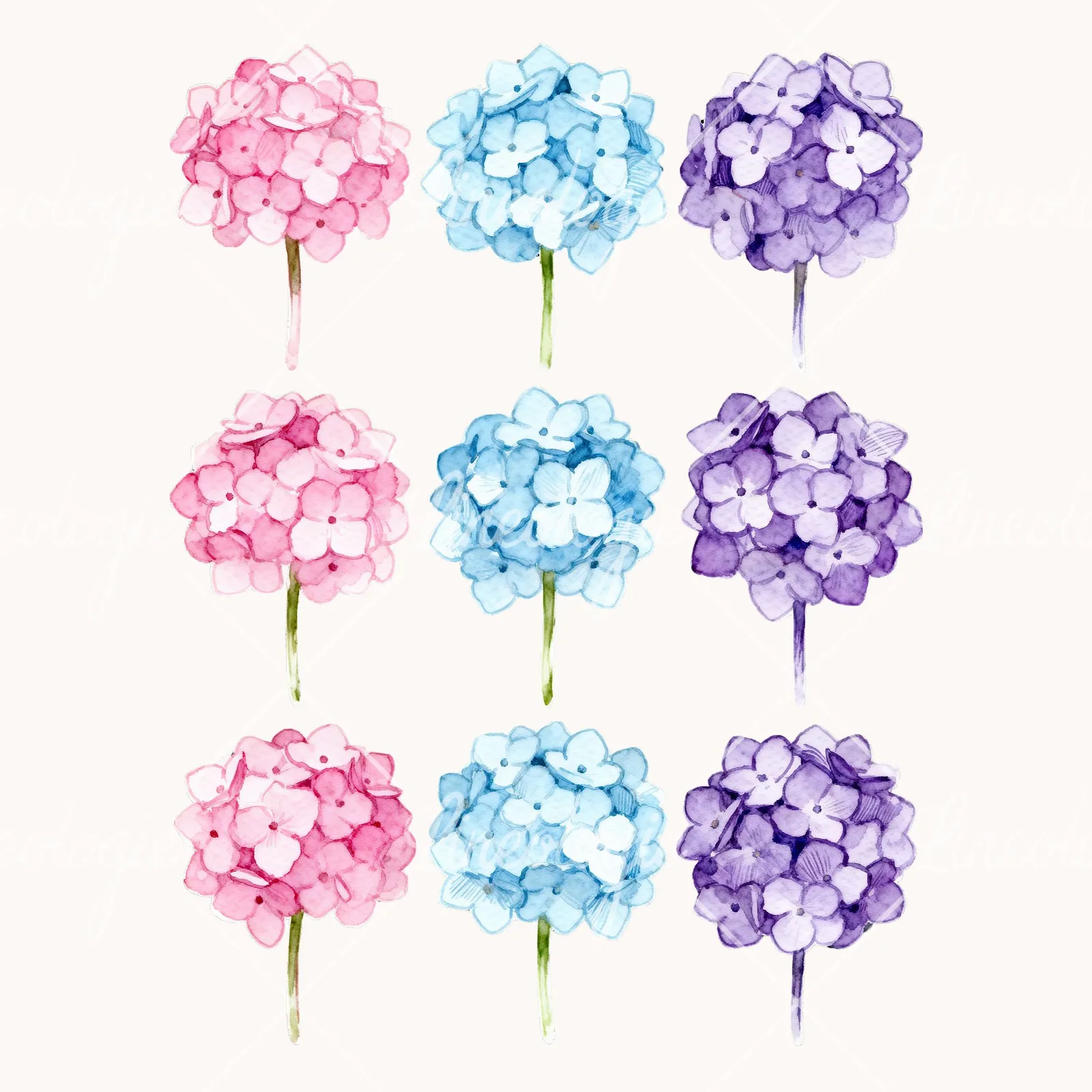 Watercolor Single Stem Hydrangea Clipart, all 9 illustrations in the pack
