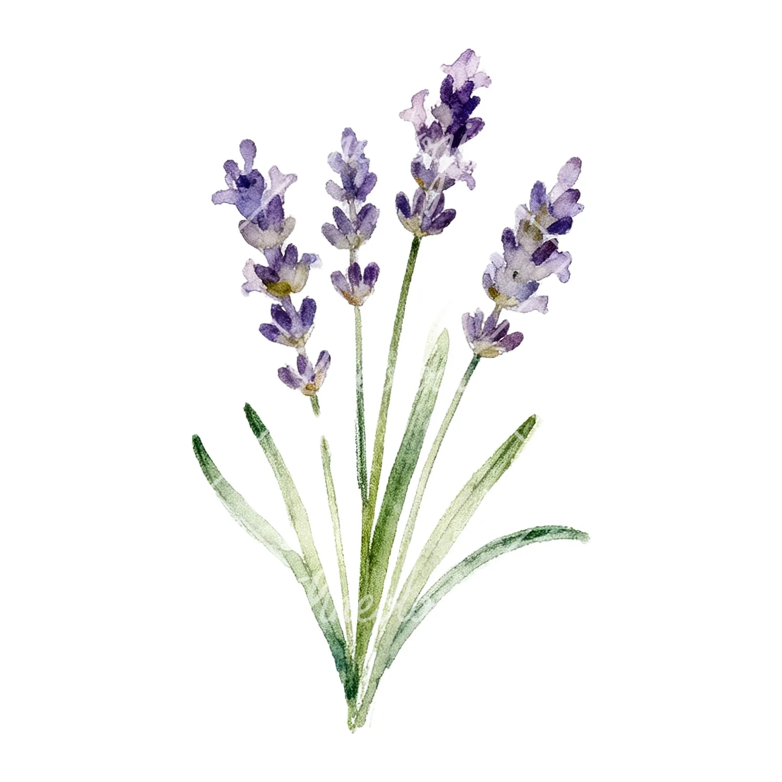 Watercolor lavender bouquet with lilac hues clipart 9 of 9 on a white background (JPG)