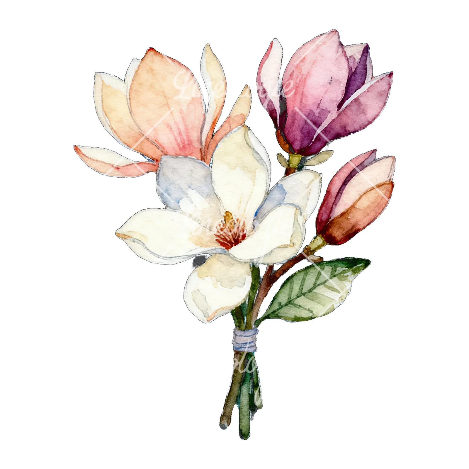 Watercolor purple and white magnolia bouquet clipart 2 of 9 on a white background (JPG)