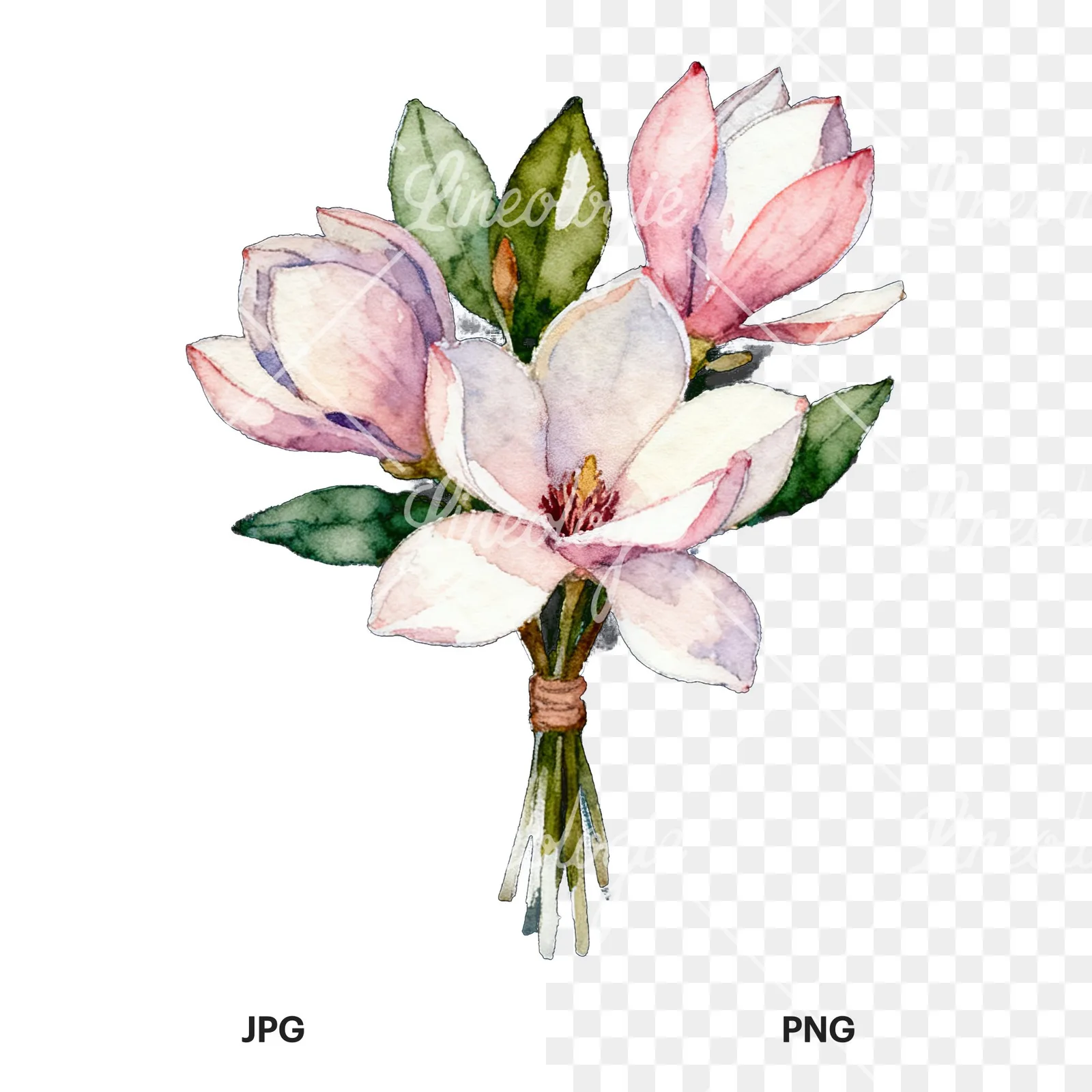 Watercolor purple and white magnolia bouquet clipart 3 of 9, as a JPG on white and a transparent PNG