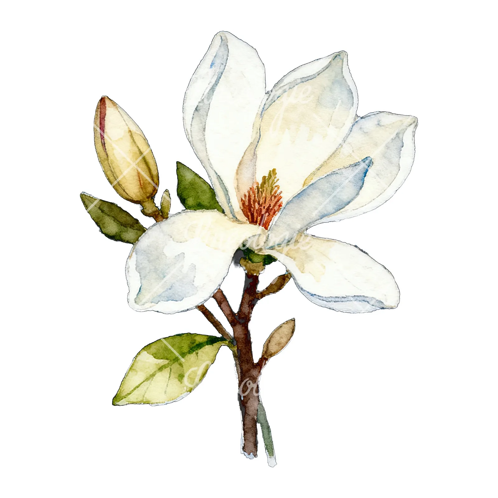 Watercolor purple and white magnolia bouquet clipart 8 of 9 on a white background (JPG)