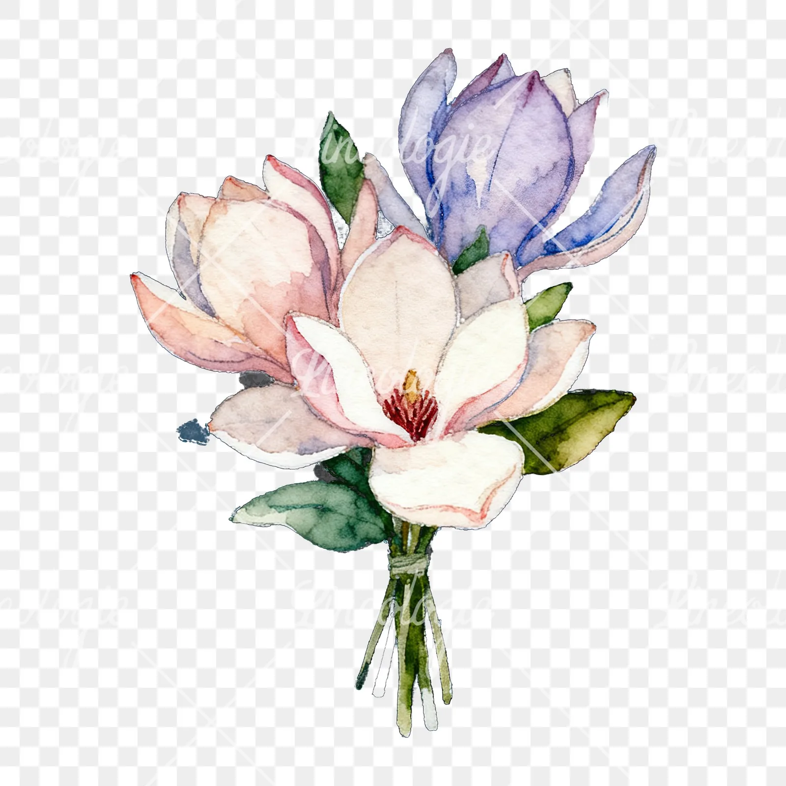 Watercolor purple and white magnolia bouquet clipart 9 of 9 on a transparent background (PNG)