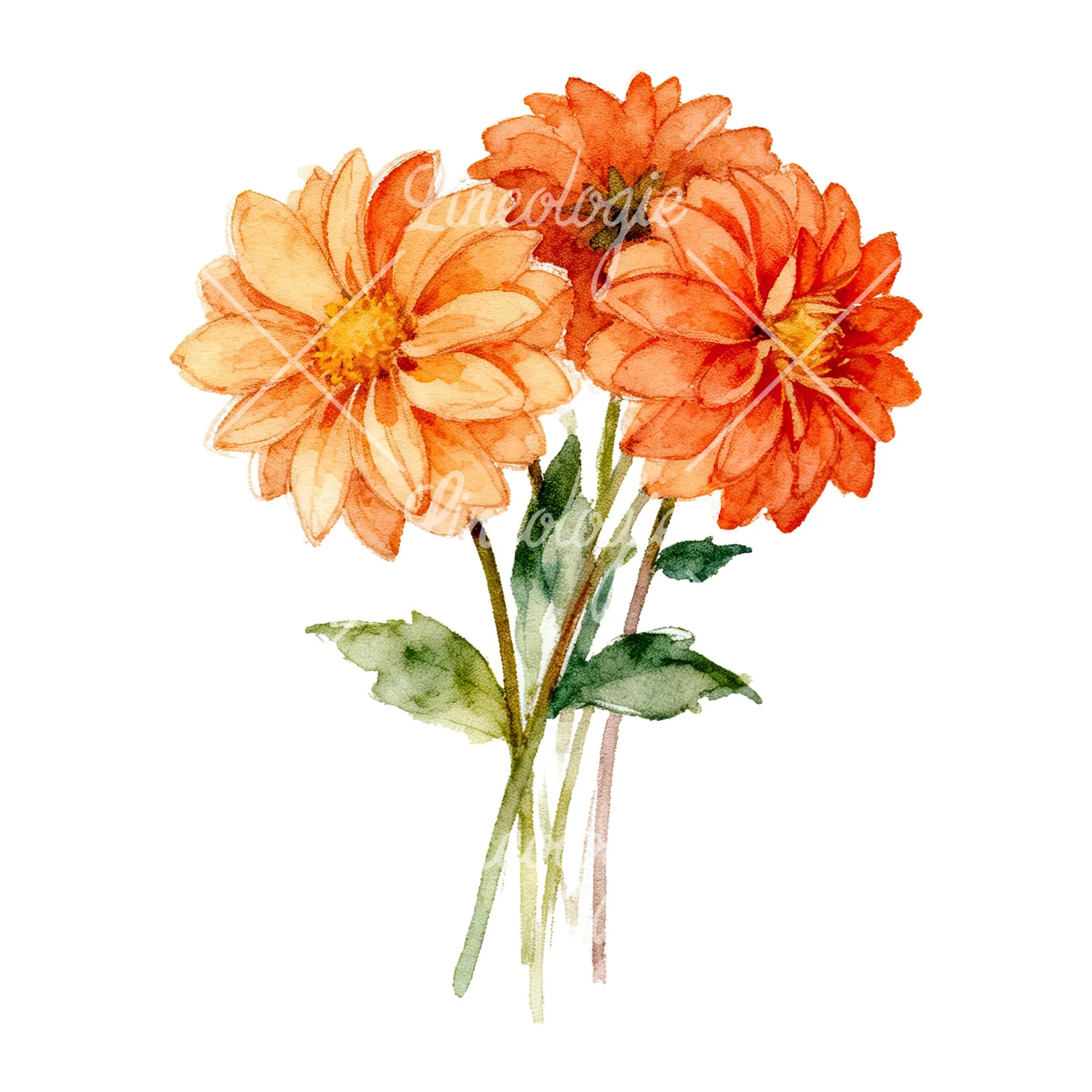 Watercolor orange dahlia bouquet clipart 4 of 9 on a white background (JPG)