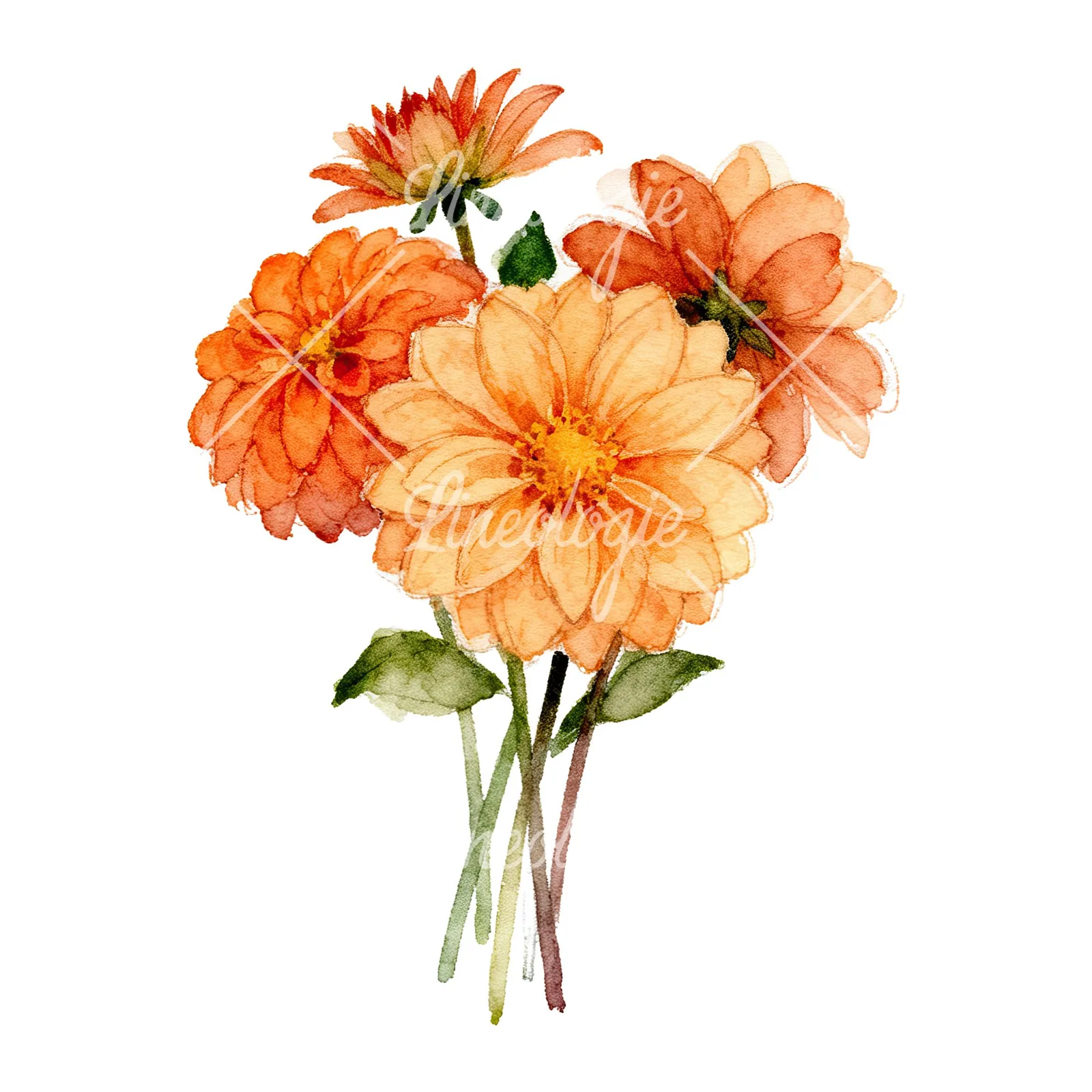Watercolor orange dahlia bouquet clipart 7 of 9 on a white background (JPG)