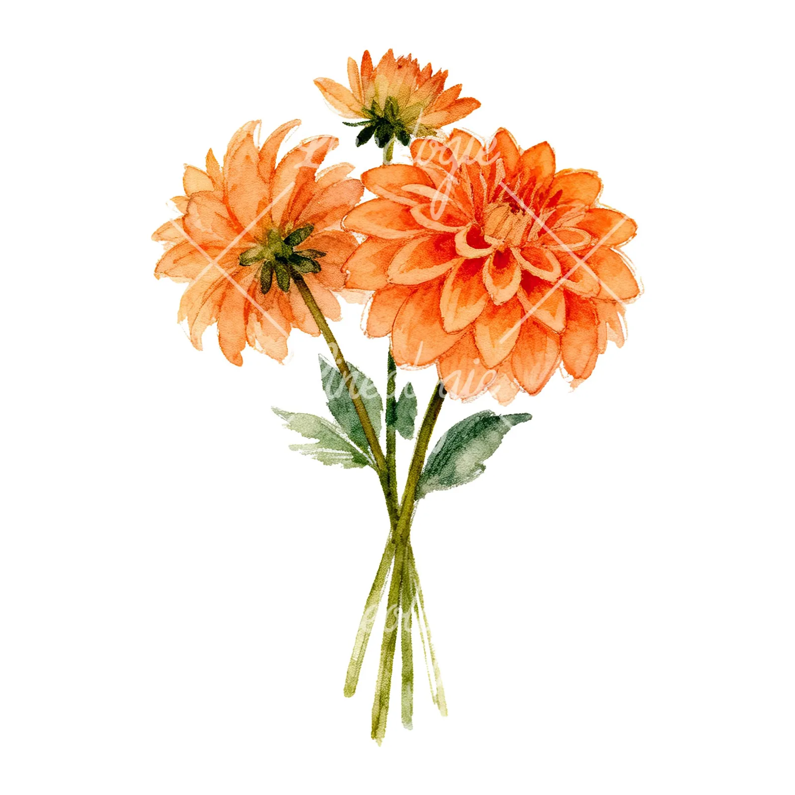 Watercolor orange dahlia bouquet clipart 8 of 9 on a white background (JPG)