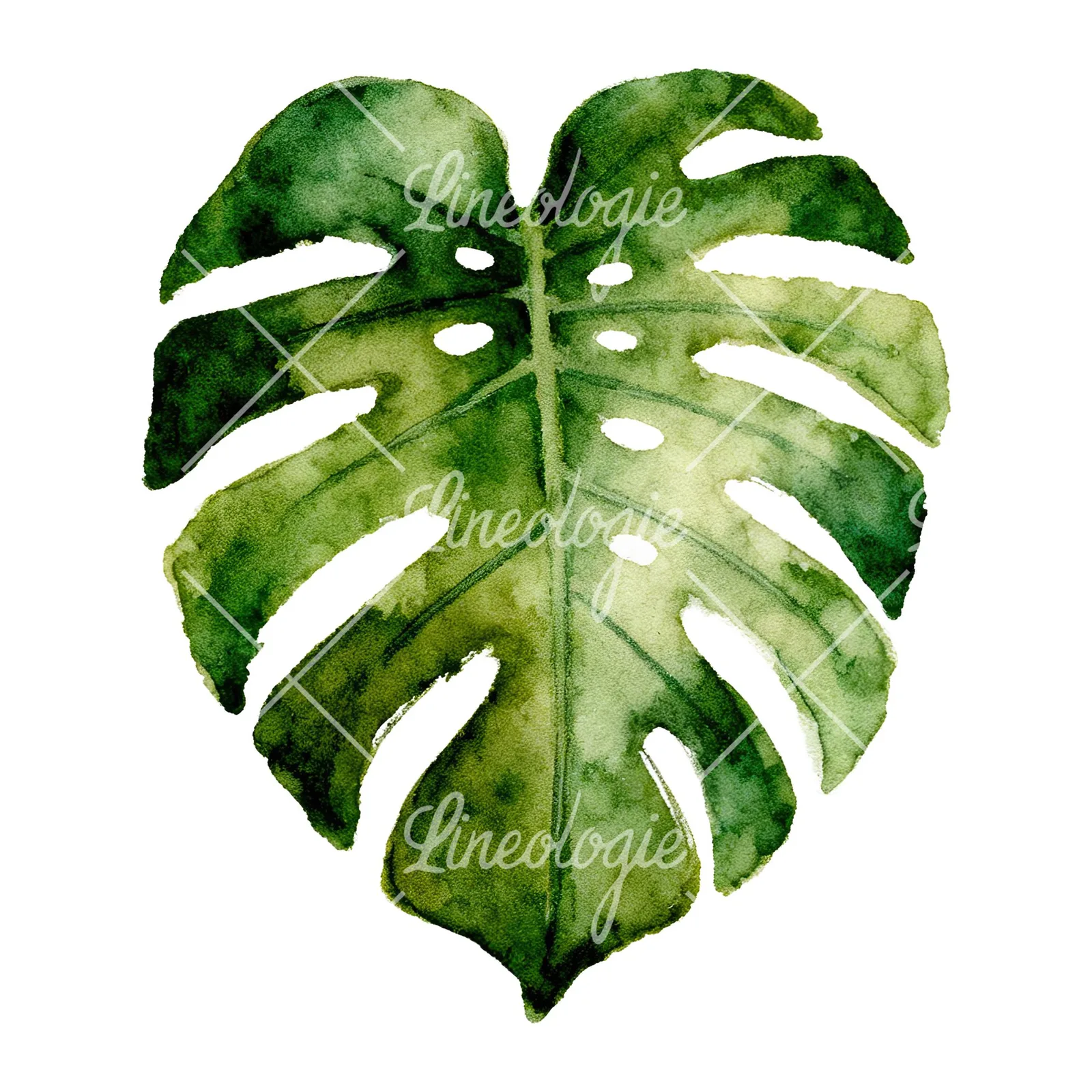 Watercolor grayscale and green palm leaf clipart 1 of 9 on a white background (JPG)