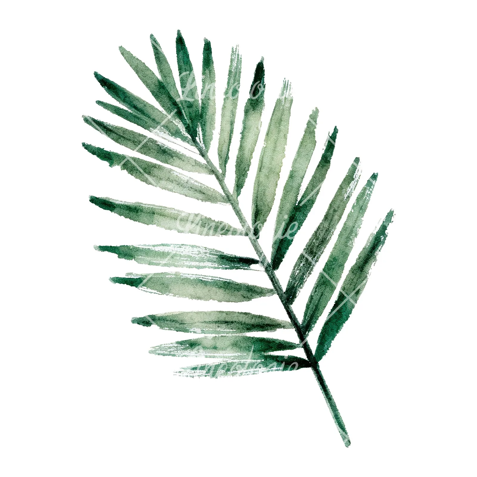 Watercolor grayscale and green palm leaf clipart 4 of 9 on a white background (JPG)