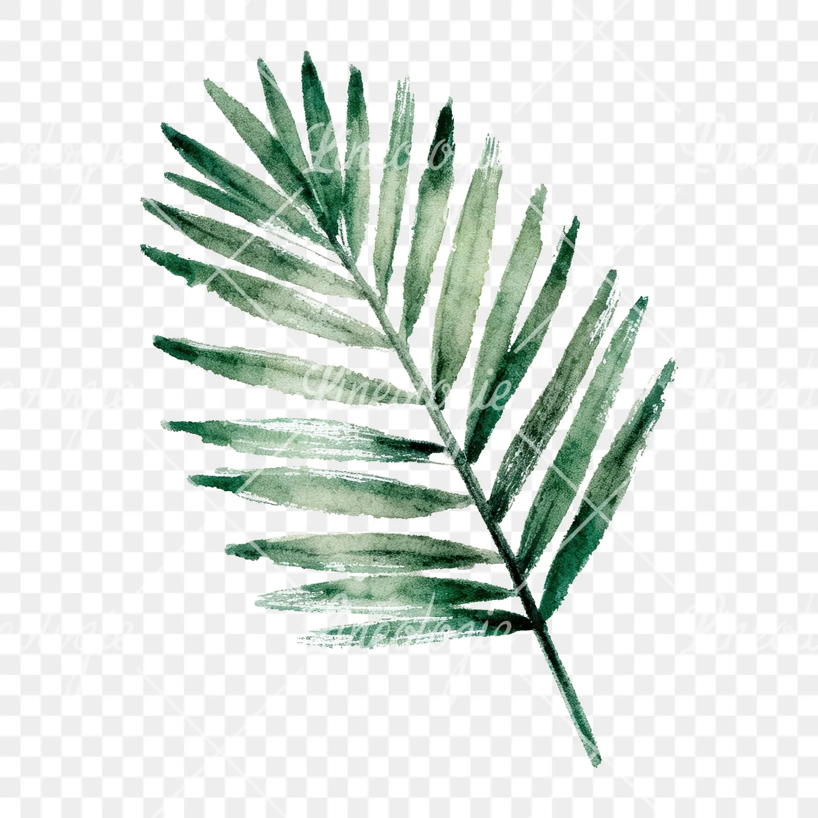 Watercolor grayscale and green palm leaf clipart 4 of 9 on a transparent background (PNG)