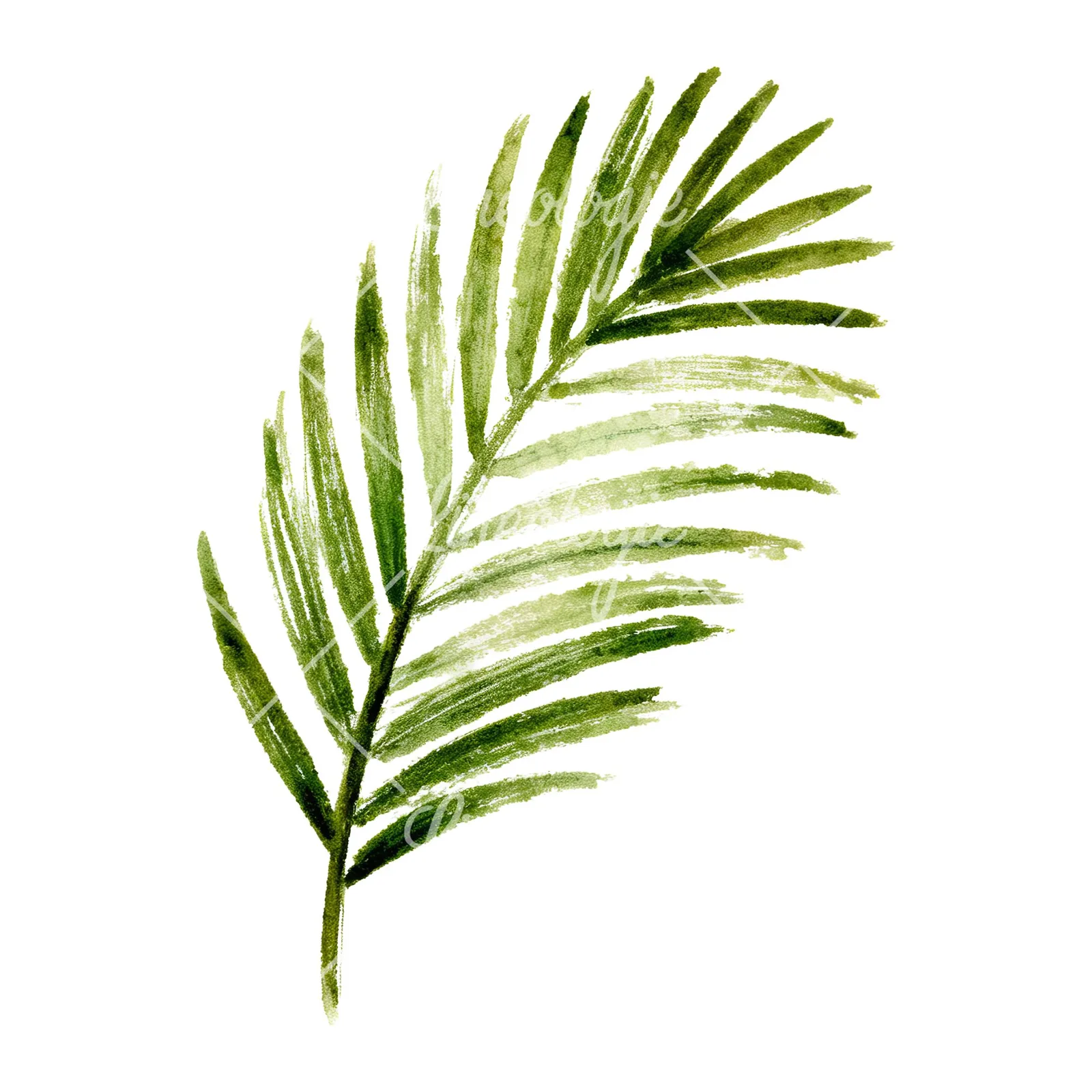 Watercolor grayscale and green palm leaf clipart 6 of 9 on a white background (JPG)