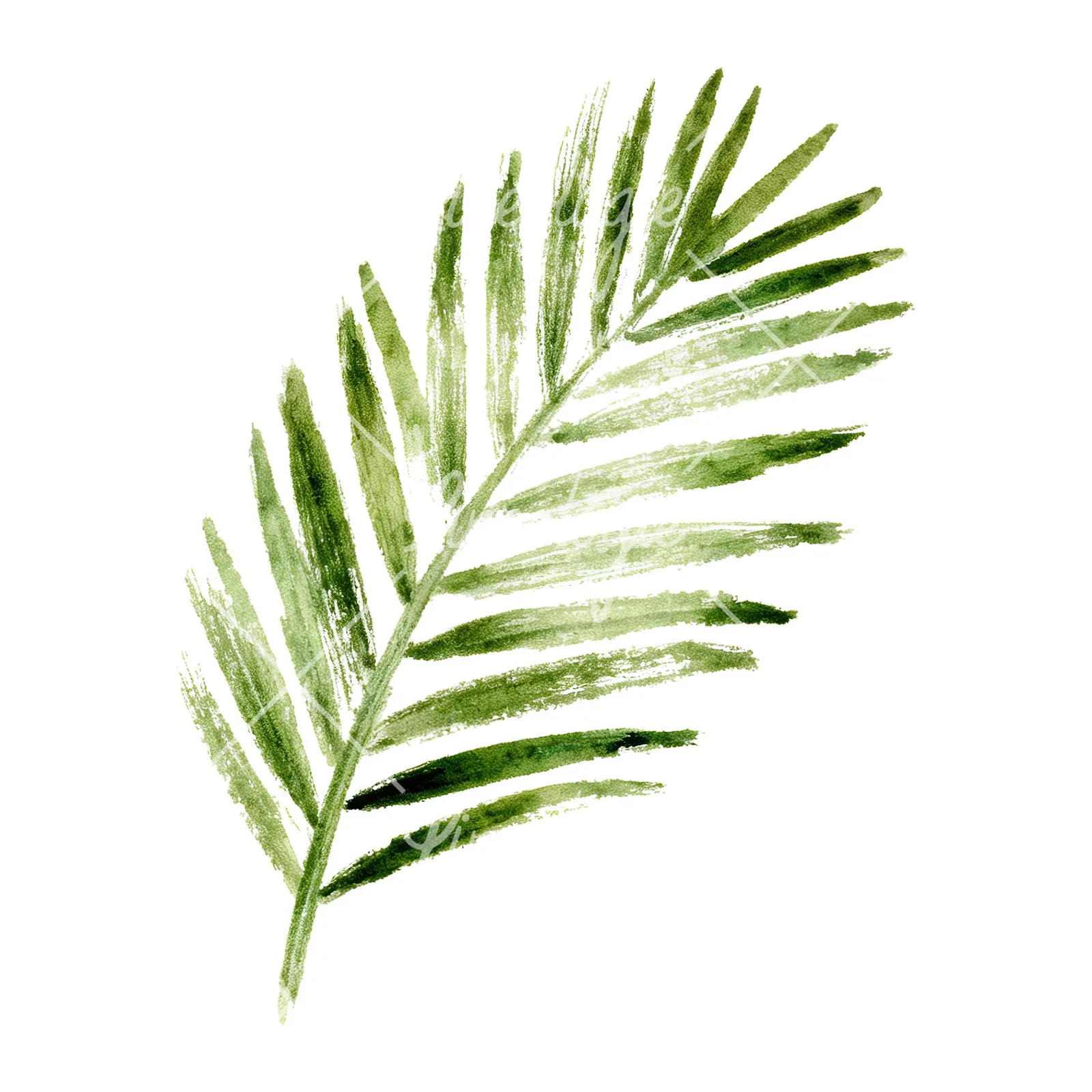 Watercolor grayscale and green palm leaf clipart 7 of 9 on a white background (JPG)