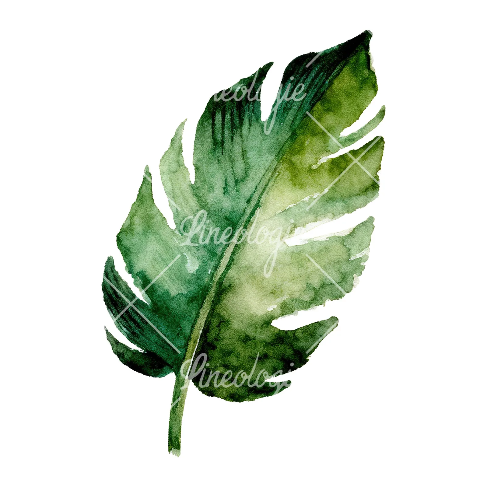 Watercolor grayscale and green palm leaf clipart 8 of 9 on a white background (JPG)