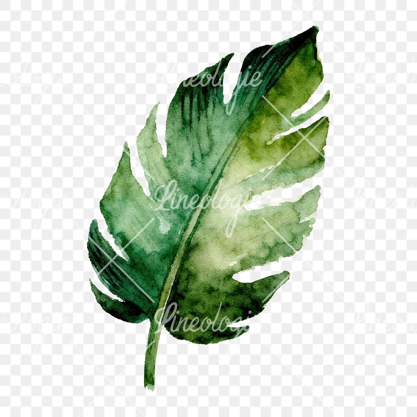 Watercolor grayscale and green palm leaf clipart 8 of 9 on a transparent background (PNG)