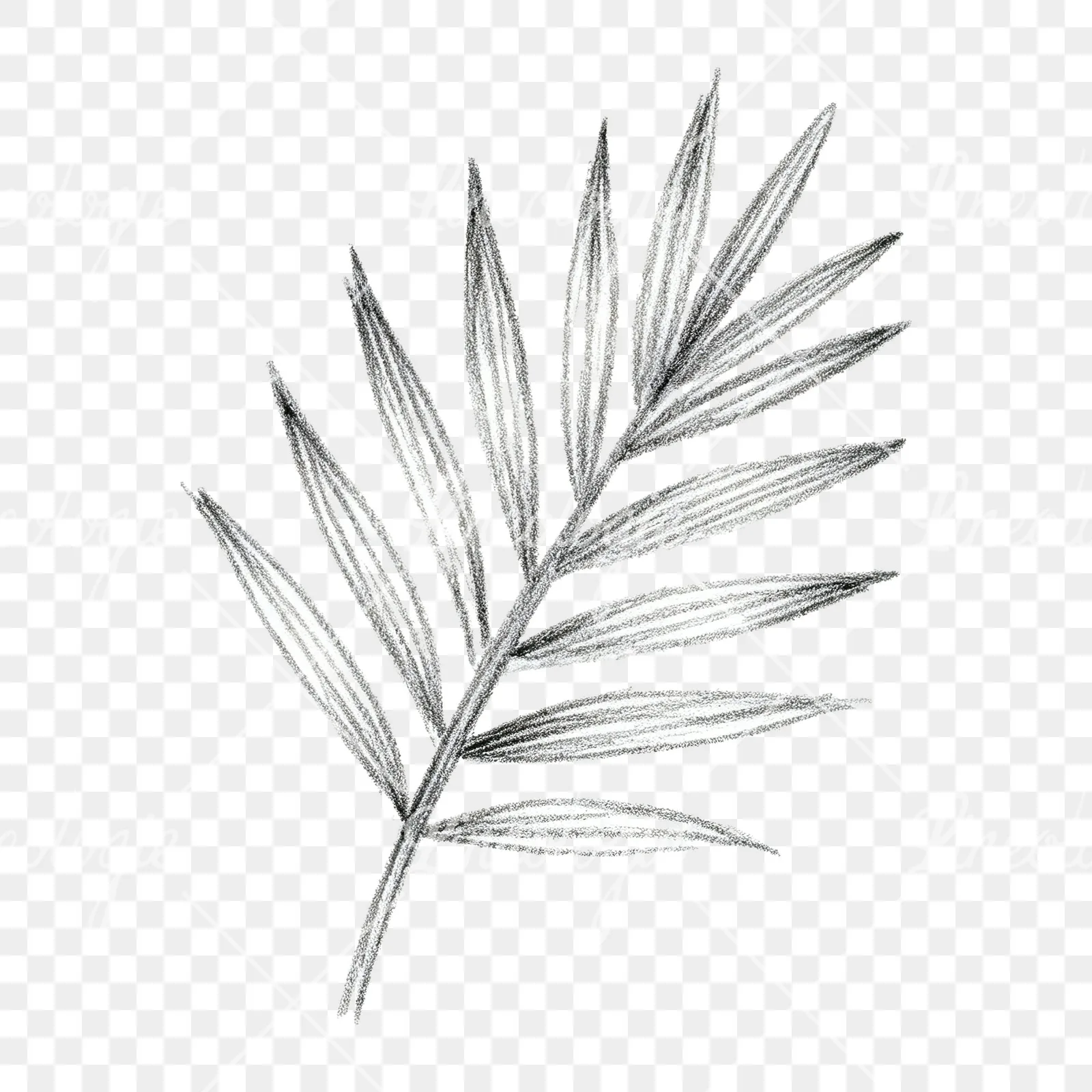 Watercolor grayscale and green palm leaf clipart 9 of 9 on a transparent background (PNG)